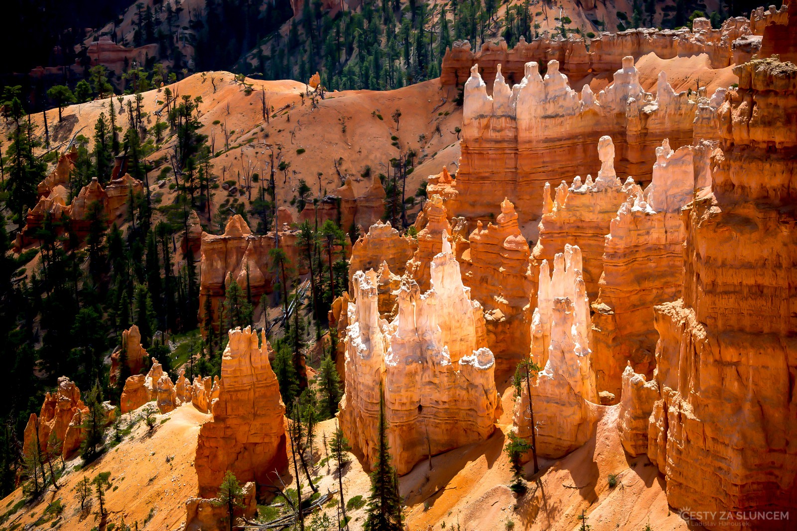 Cesta do Qeens Garden - Ladislav Hanousek, Bryce Canyon