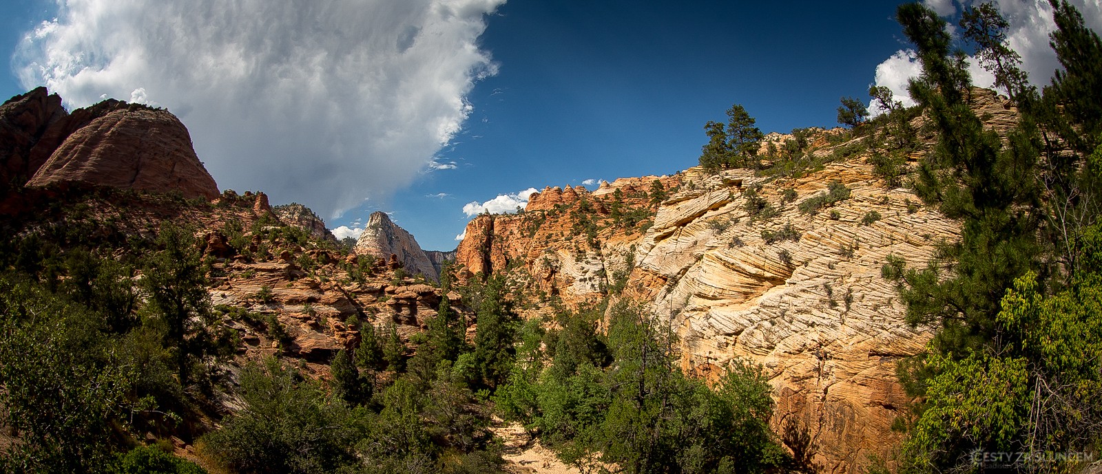 Checkerboard Mesa - Ladislav Hanousek, Zion NP