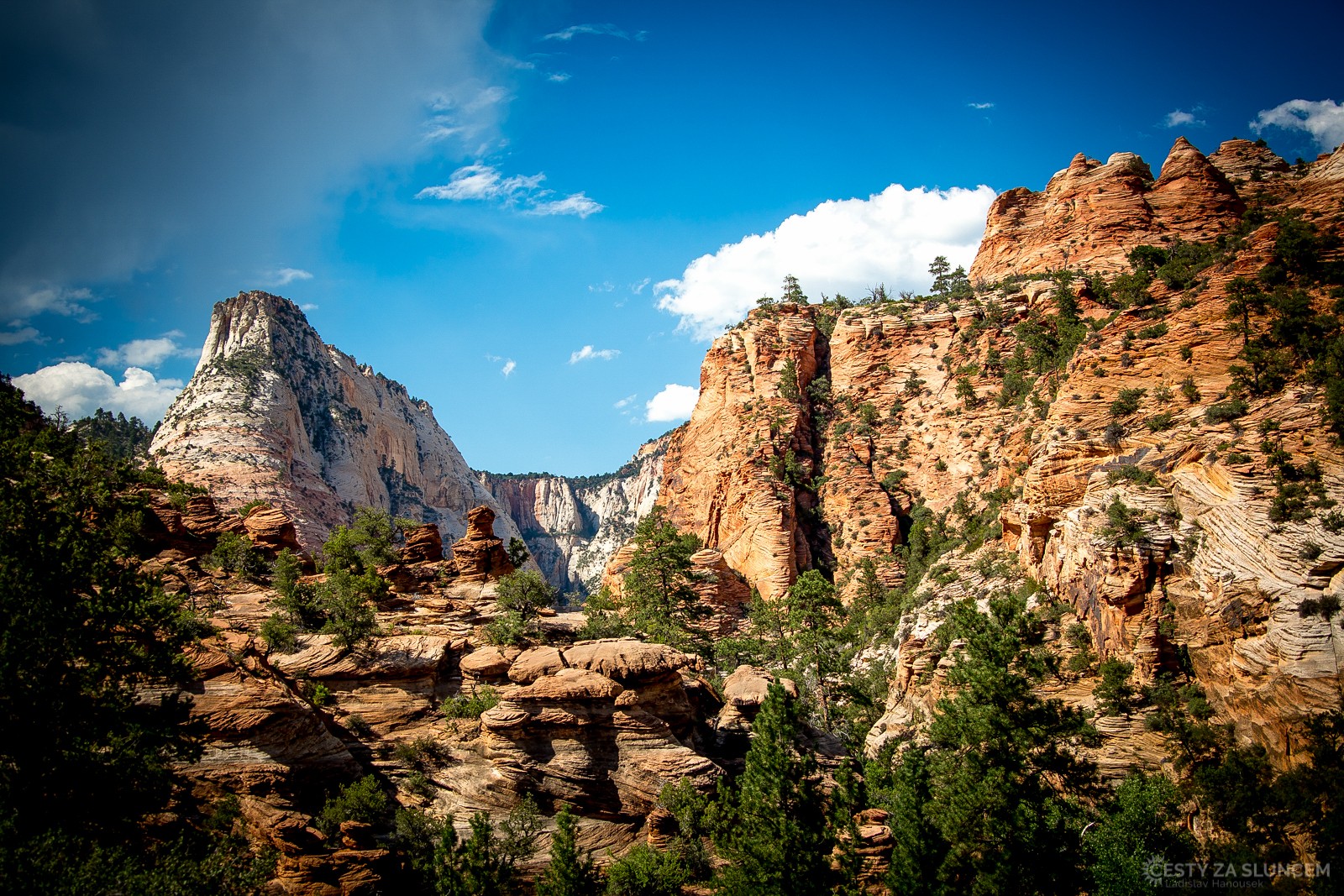 Každý z národních parků Jihozápadu poznáme podle charakteristických skal. Je tomu tak i v NP Zion. - Ladislav Hanousek, Zion NP