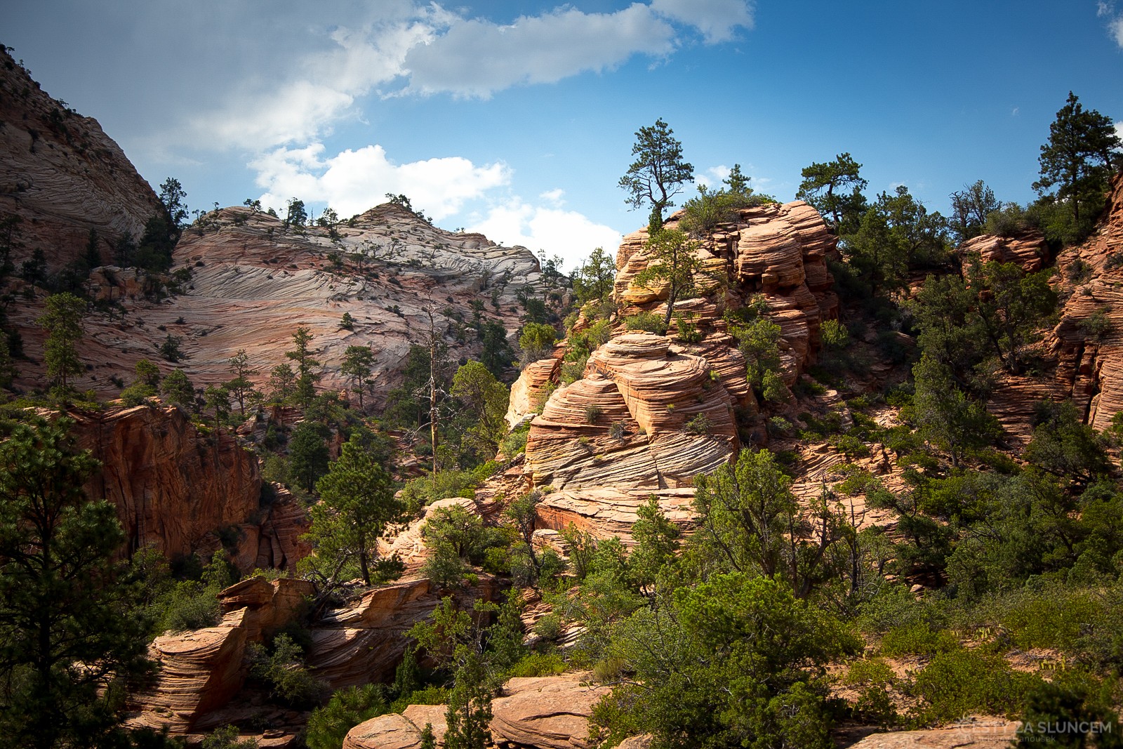 Typický slepencový tvar skal v NP Zion - Ladislav Hanousek, Zion NP