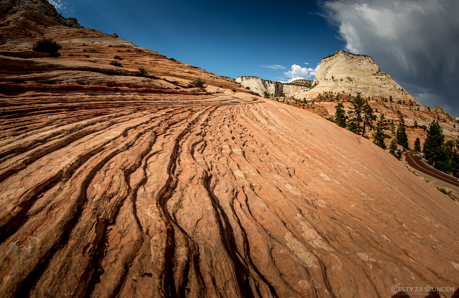 Také zvrásnělá skalní pole se téměř nikde jinde nevyskytují. - Ladislav Hanousek, Zion NP