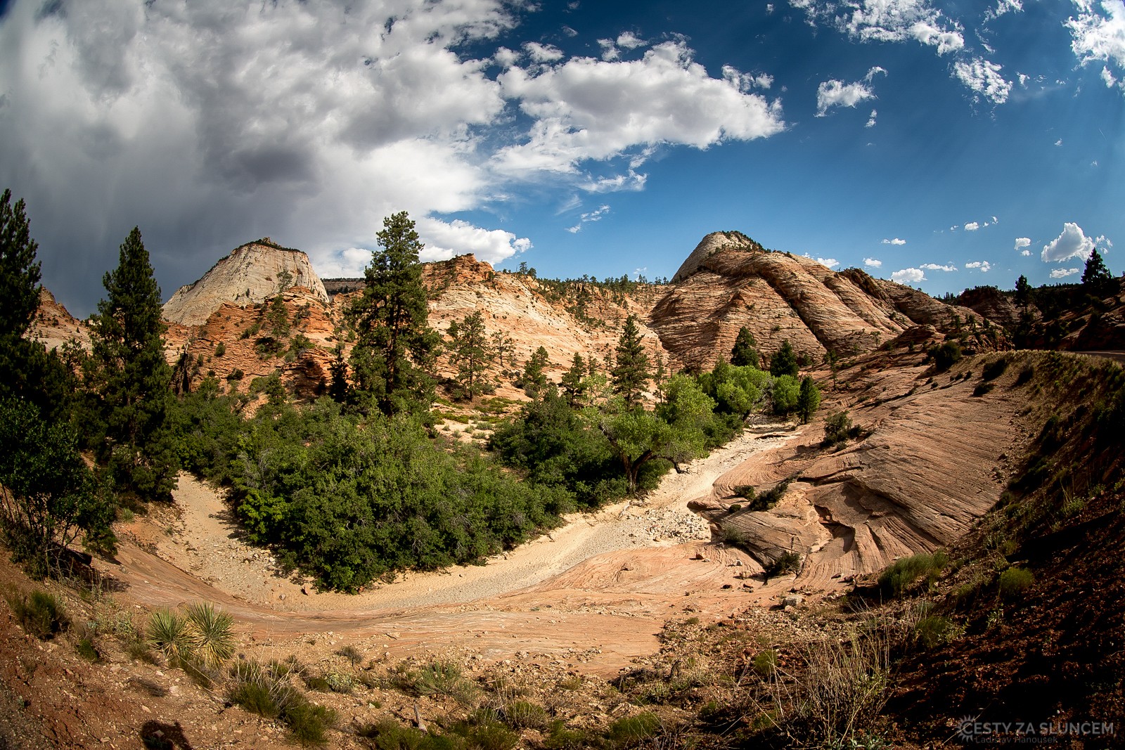 Šachovnicová hora je viditelná z mnoha míst národního parku. - Ladislav Hanousek, Zion NP