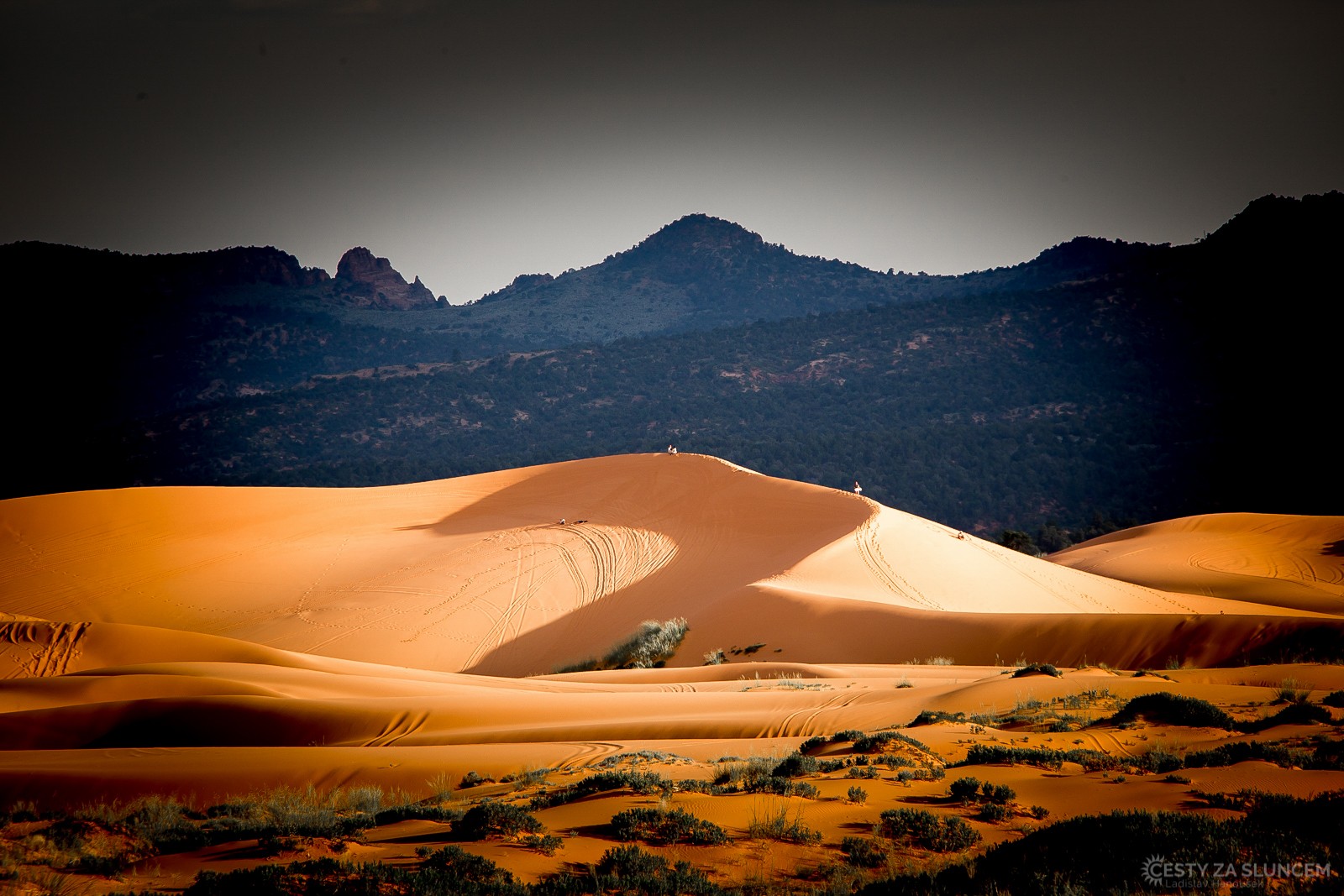 I když největší písečné duny uvidíme v NPGreat Sand Dunes, má i NP Zion svá písečná pole. - Ladislav Hanousek, Zion NP