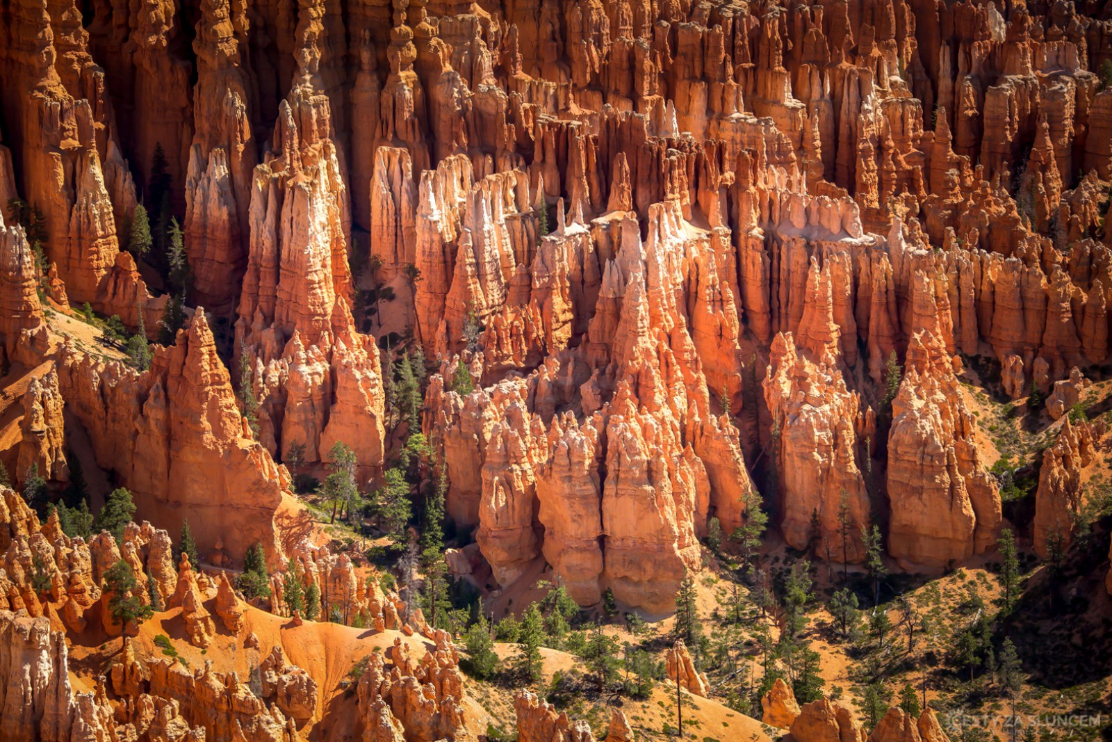 Hoodoos kolem cesty Fairyland Loop Trail - Ladislav Hanousek, Bryce Canyon