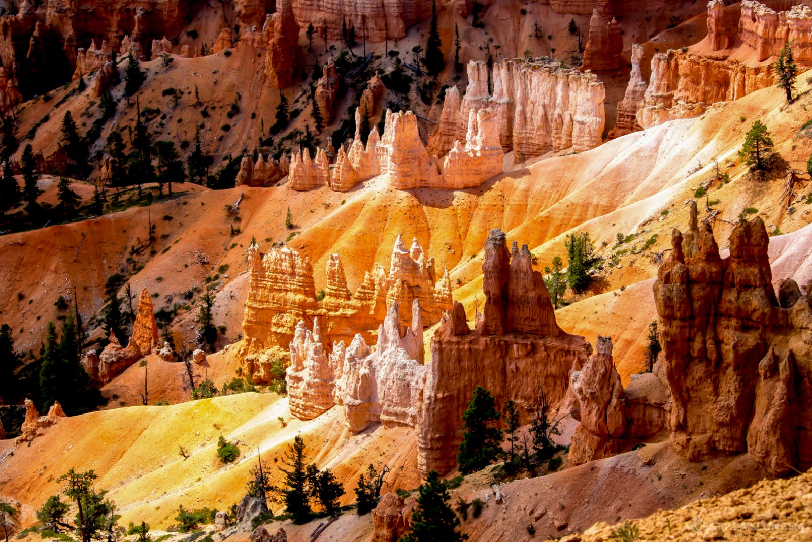 Sunrise Point - Ladislav Hanousek, Bryce Canyon