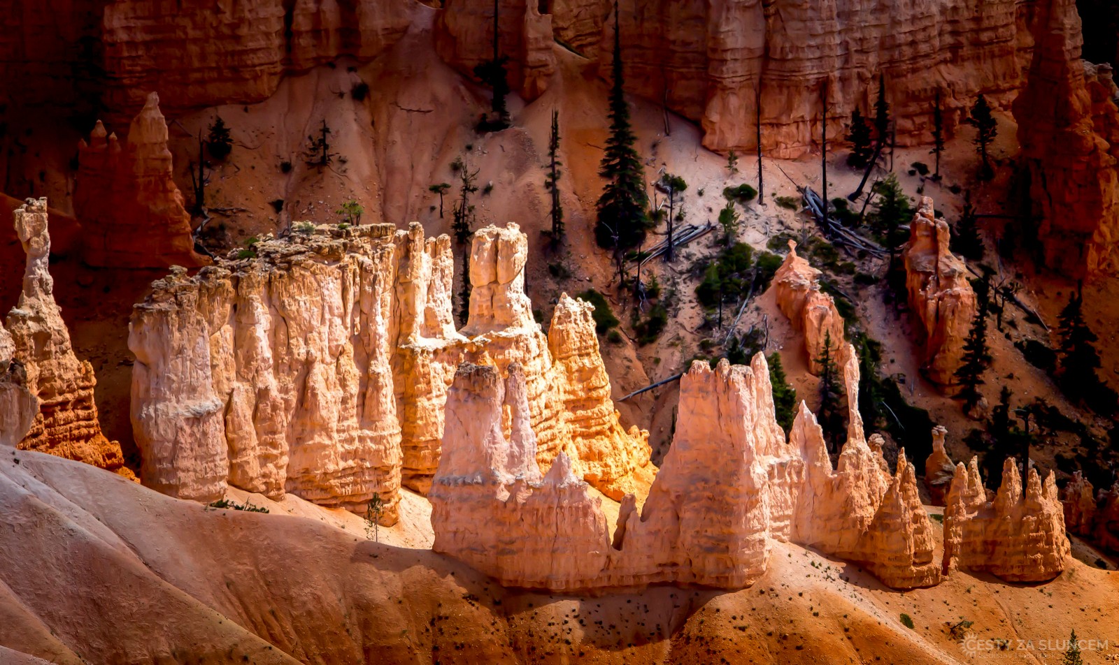 Sunrise Point - Ladislav Hanousek, Bryce Canyon