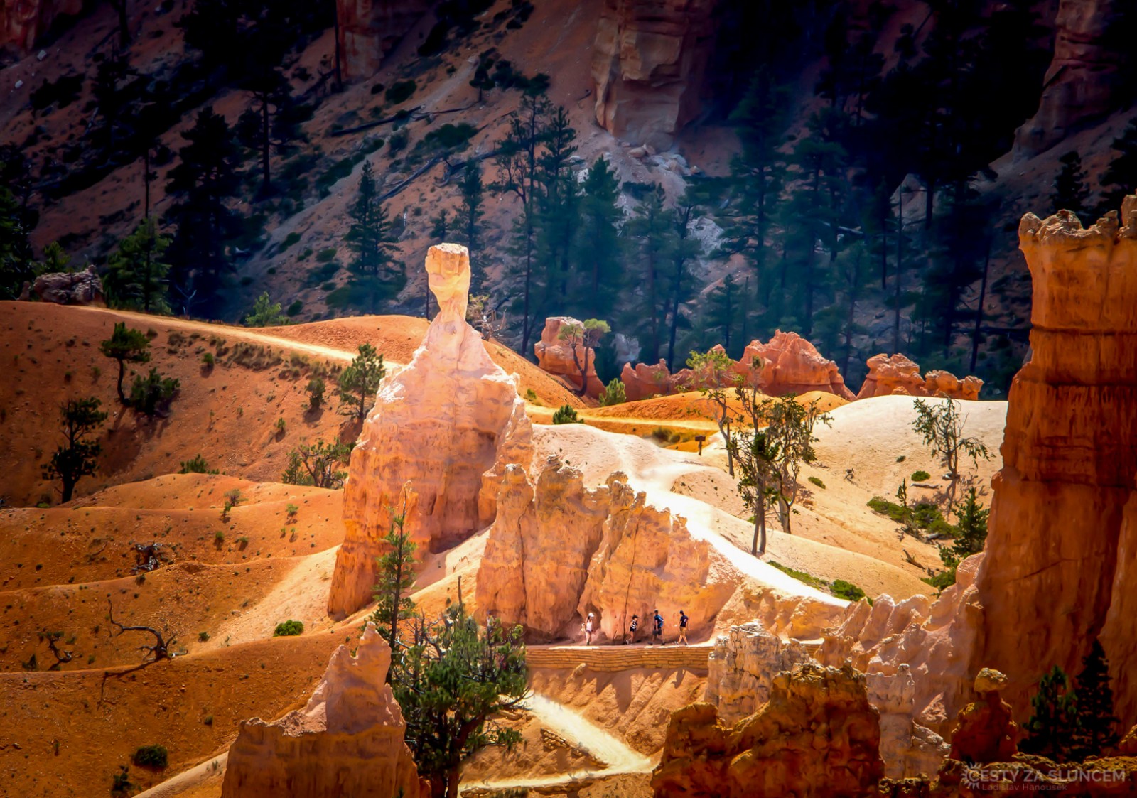 Sunrise Point - Ladislav Hanousek, Bryce Canyon