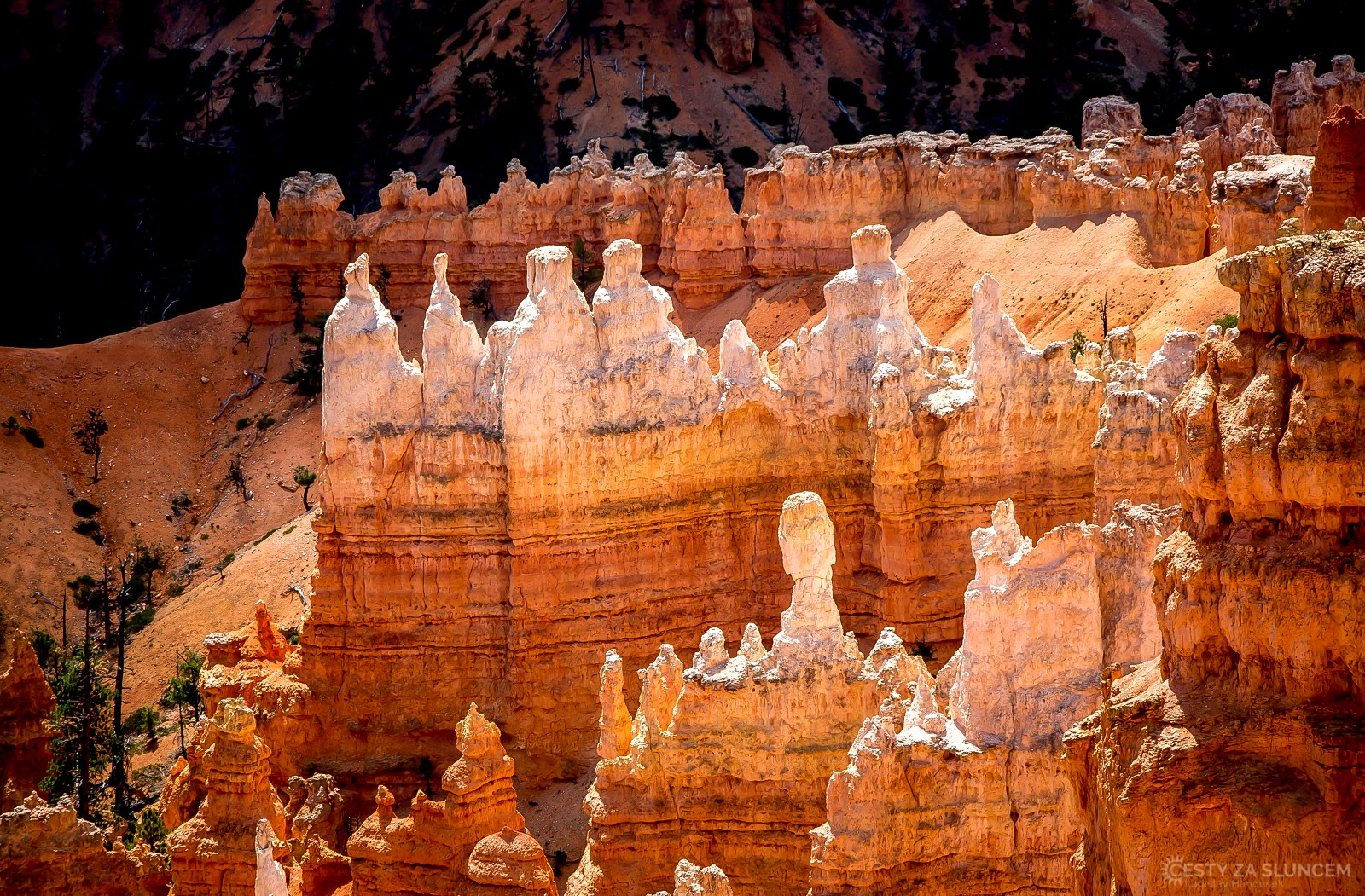 Sunrise Point - Ladislav Hanousek, Bryce Canyon