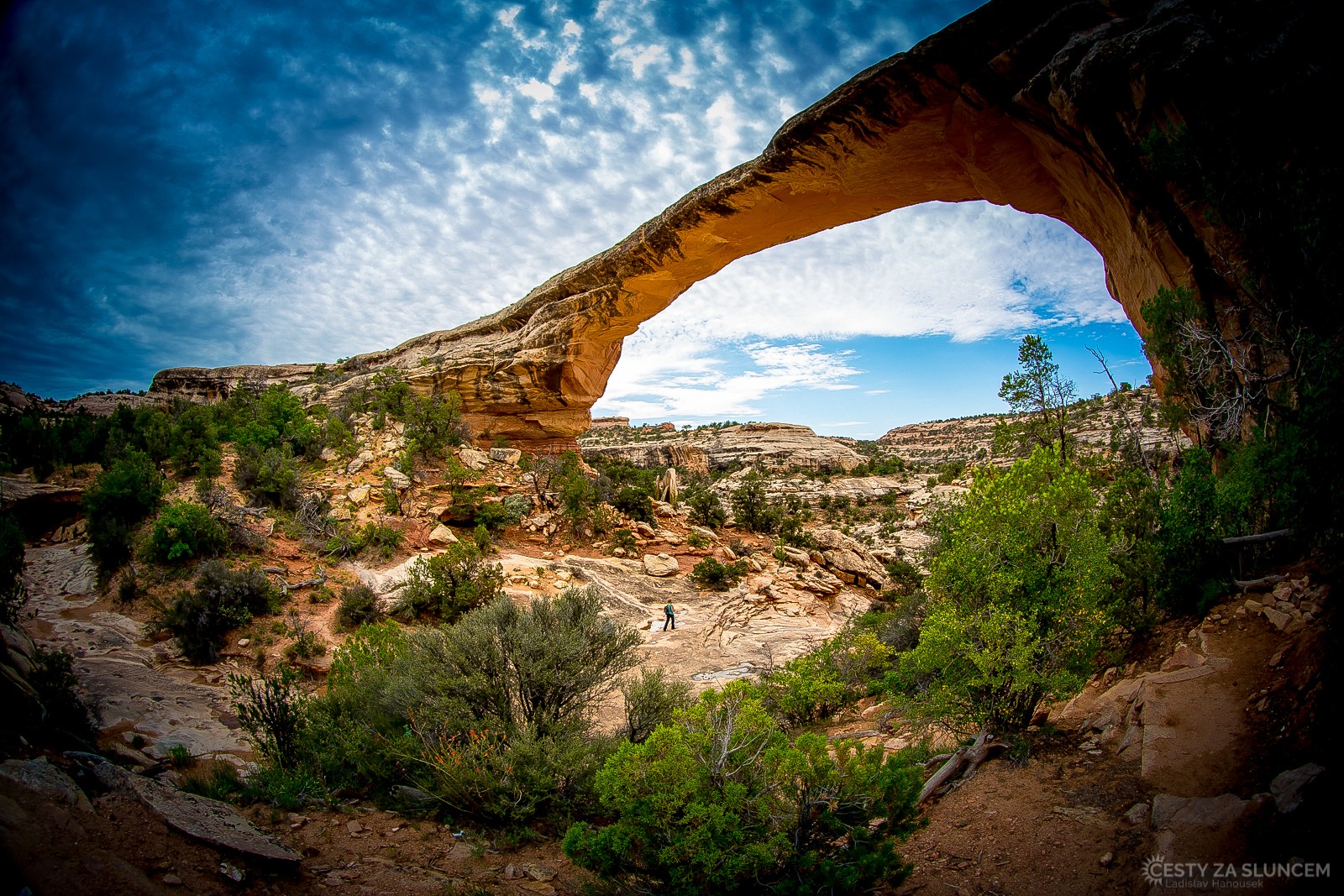 Národní park Natural Bridges - Owachomo Bridge - Ladislav Hanousek, Canyonland NP