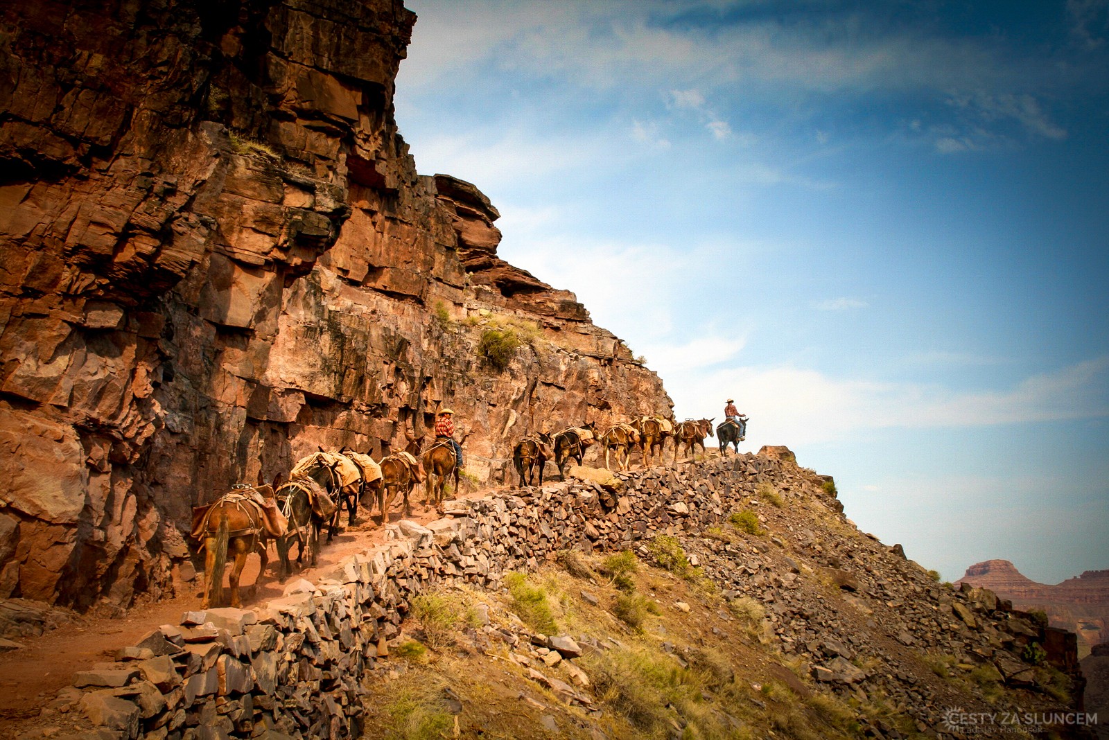 Vodu na pití pro cestu vzhůru po South Kaibab Trail si koně nesou s sebou v kožených vacích - Ladislav Hanousek, Grand Canyon NP - Cesta k řece Colorado