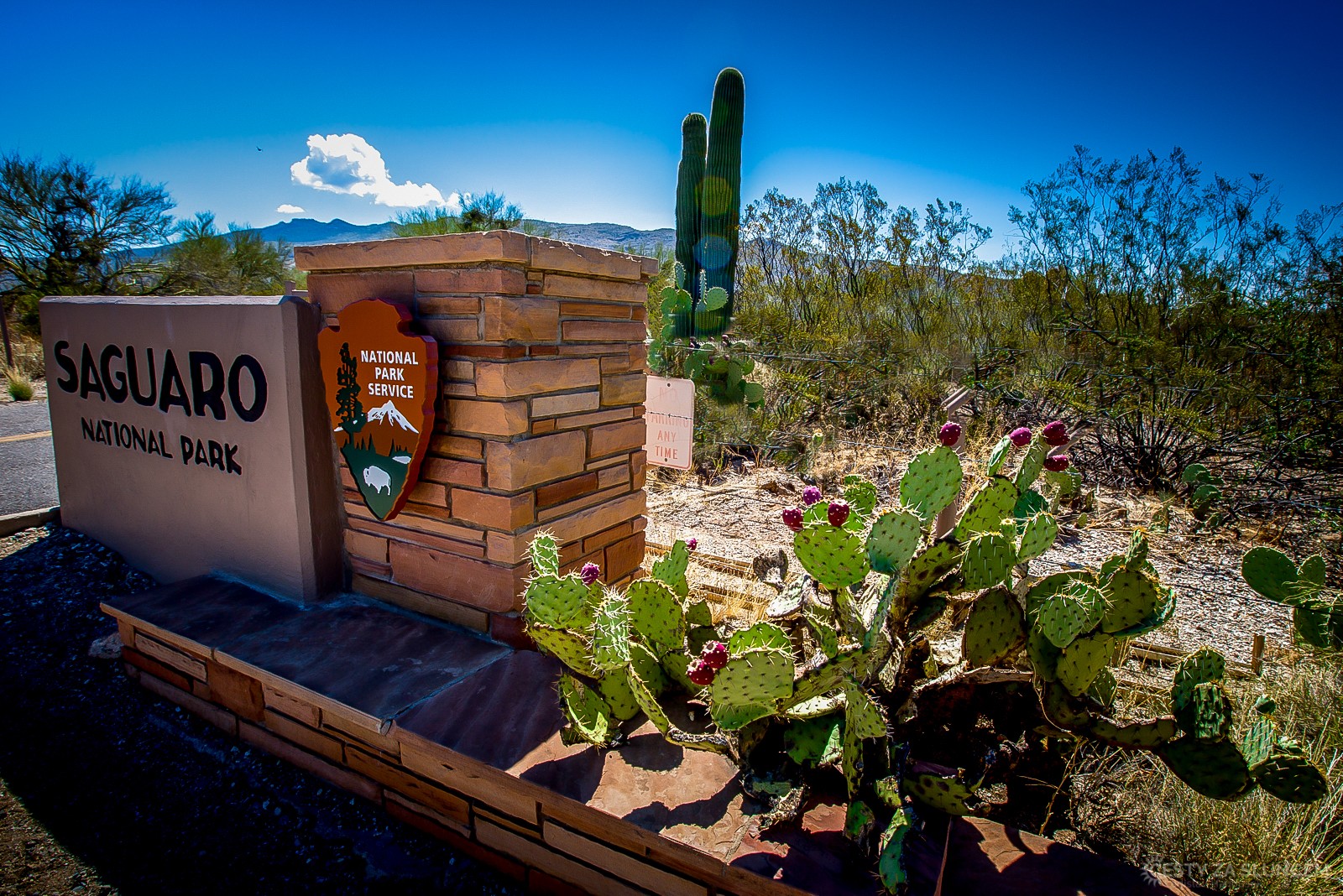 Saguaro National Park - Ladislav Hanousek, Ostatní z Arizony