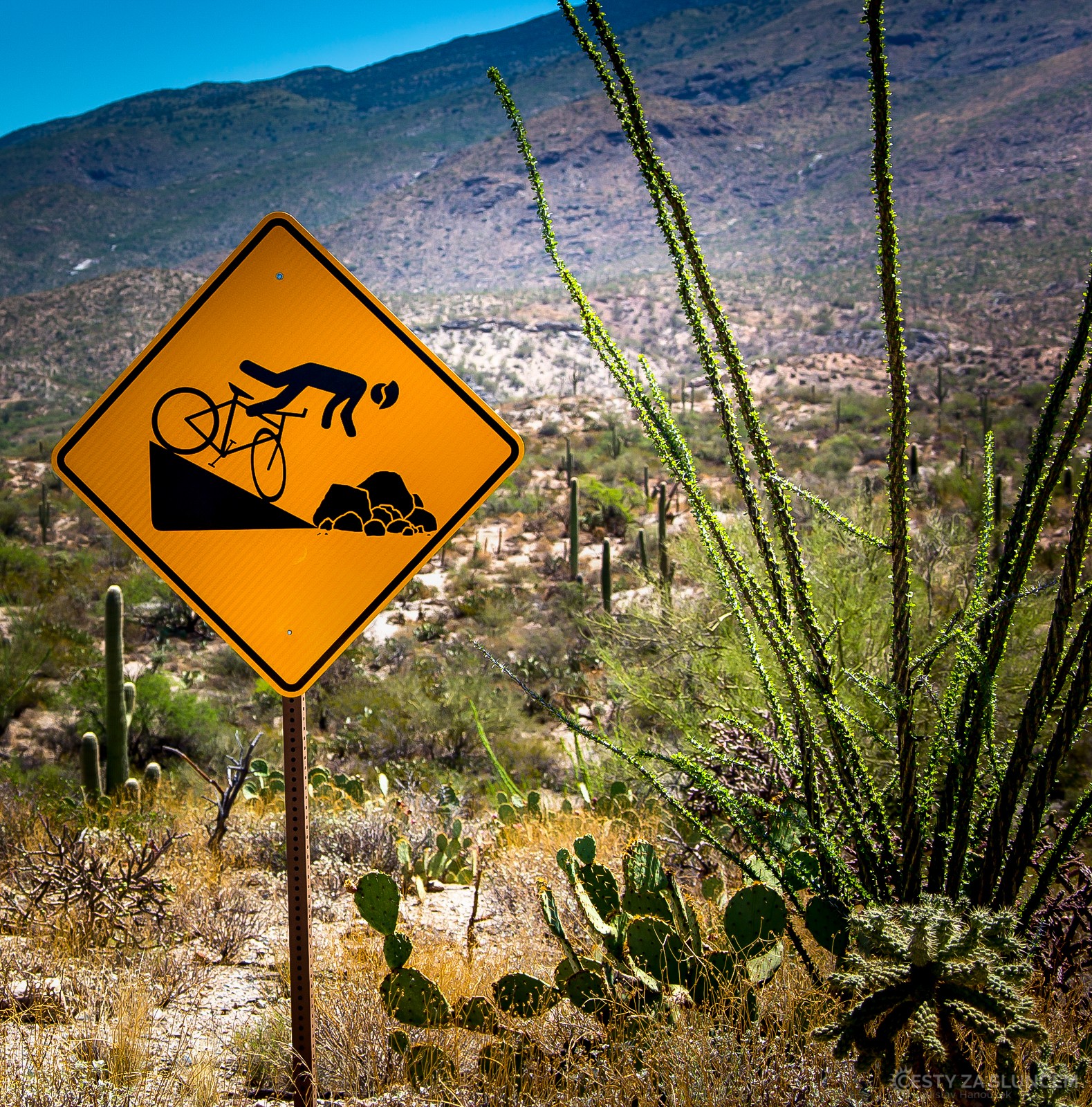 Saguaro National Park - Ladislav Hanousek, Ostatní z Arizony