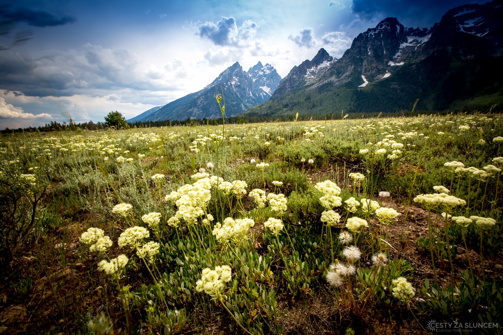 Údolí Jackson Hole připomíná slovenské Tatry. Přesto je zcela jiné svou intezívní, charakteristickou vůní pelyňku - Ladislav Hanousek, Grand Teton