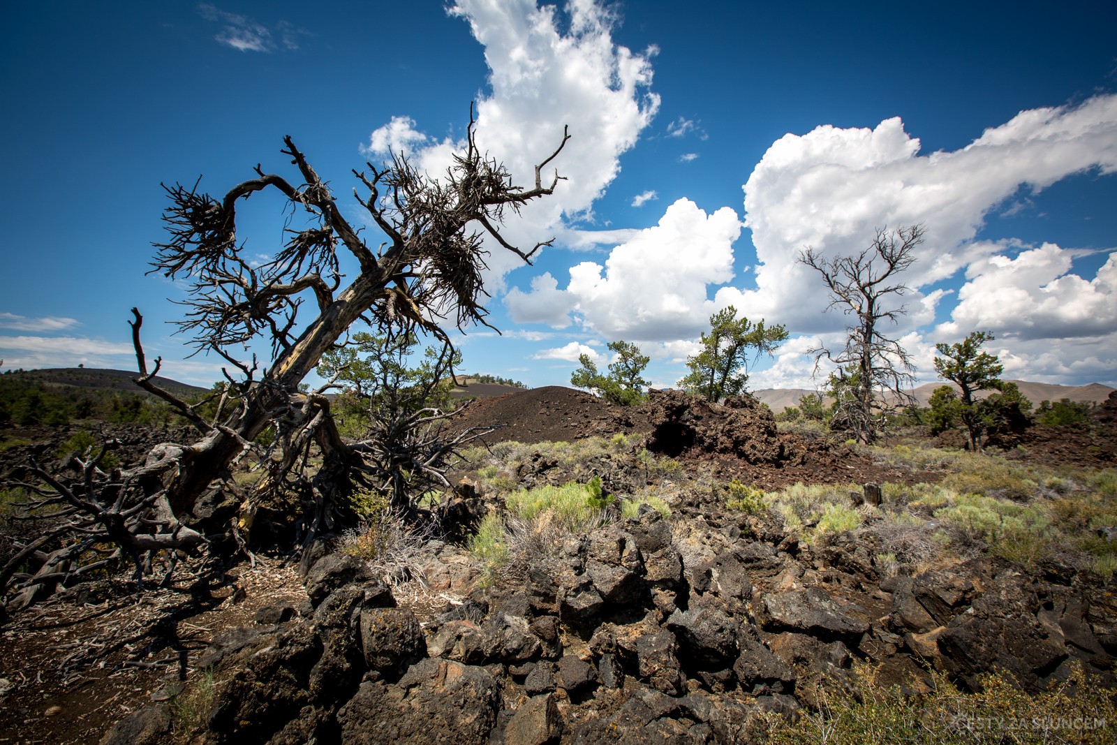 Jen horko, tichý zpěv ptáků a vysoká obloha plná sněhobílých mraků, to je Devil´s Orchard Nature Trail. - Ladislav Hanousek, Craters of the Moon