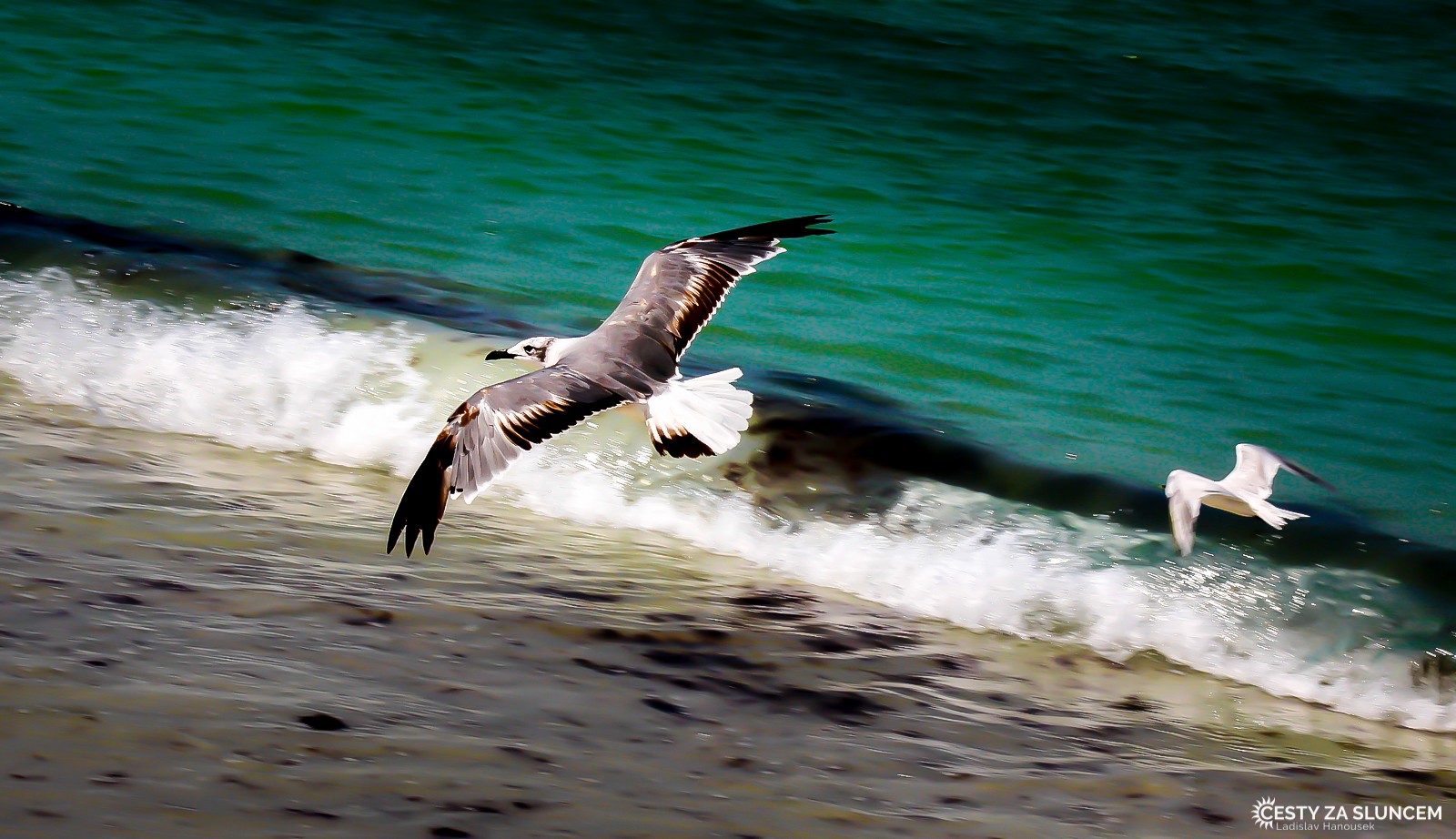 ...a ještě trochu jinak. - Ladislav Hanousek, Florida
