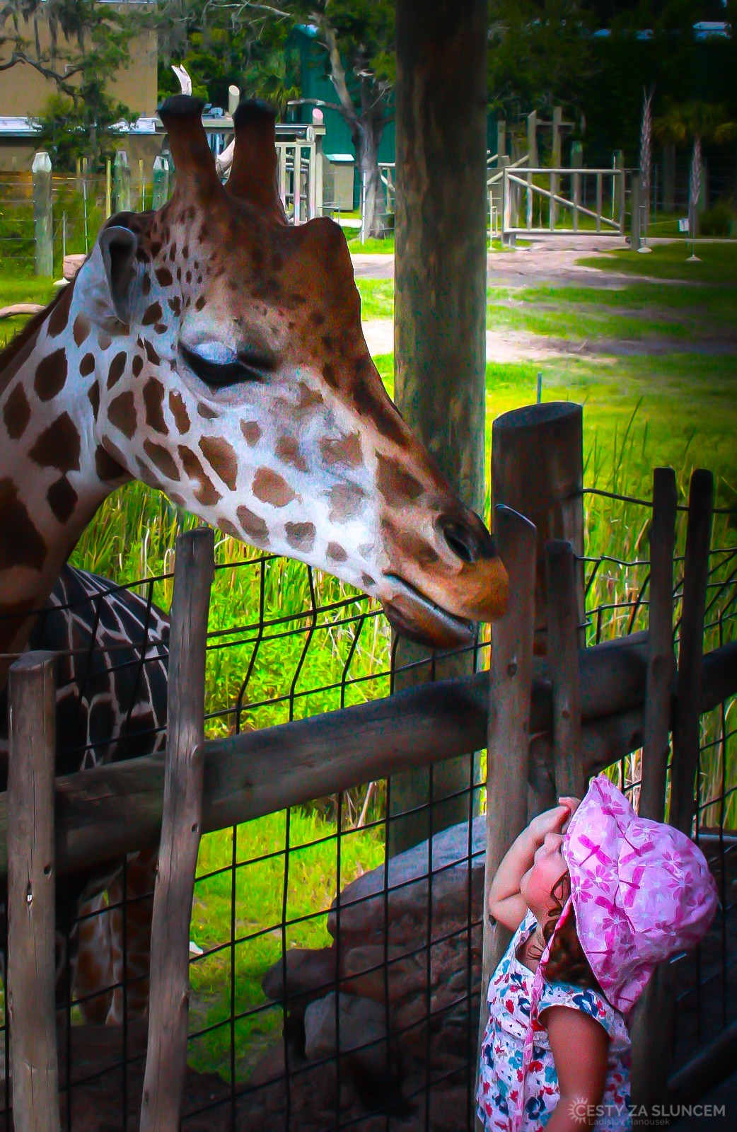 Bez návštěvy ZOO v Orlandu by nebyla cesta po Floridě určitě úplná... - Ladislav Hanousek, Florida