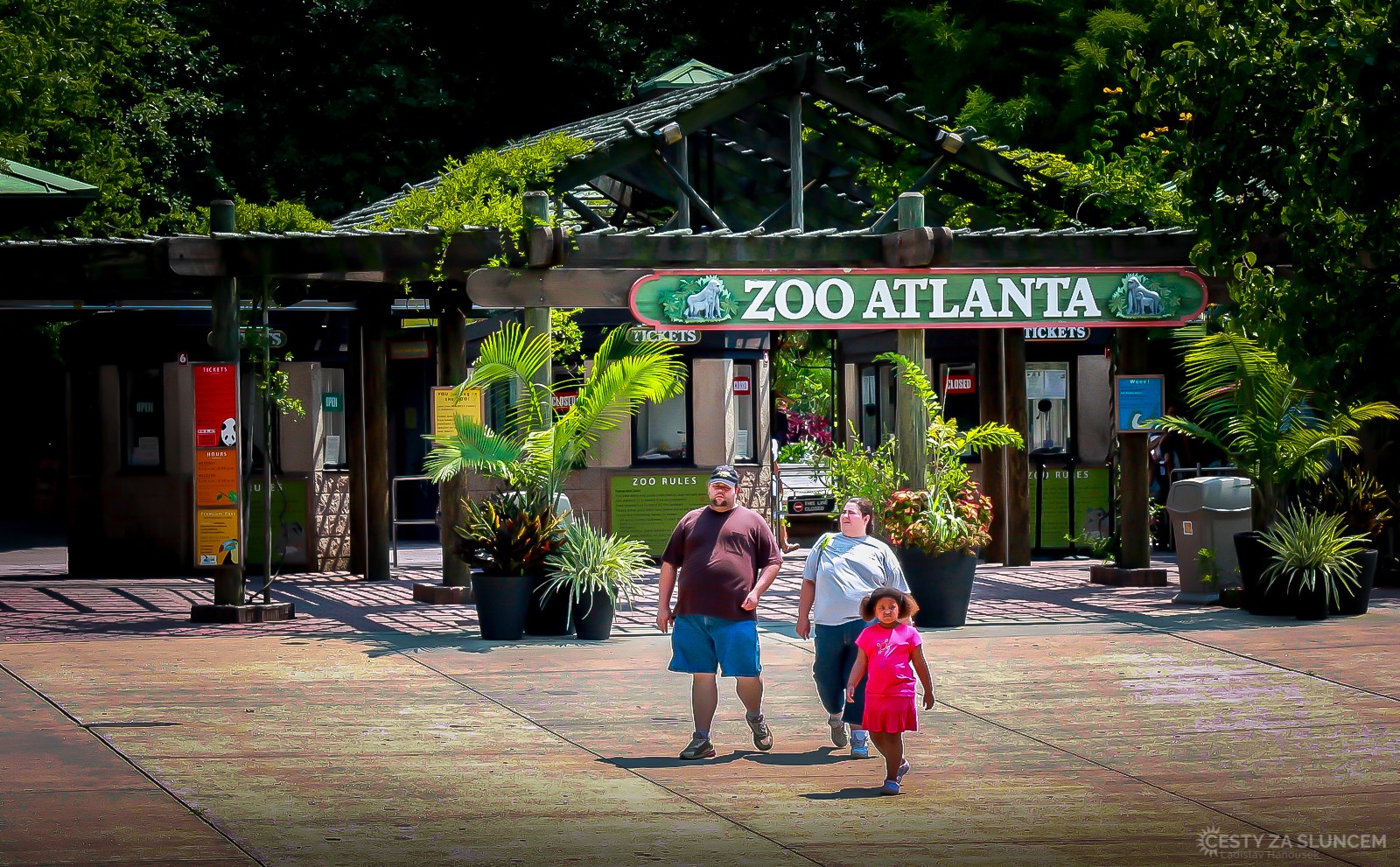 A ještě jedna Georgia: Být v Atlantě a nenavštívit tamní ZOO, to by mě mrzelo... - Ladislav Hanousek, Tennessee