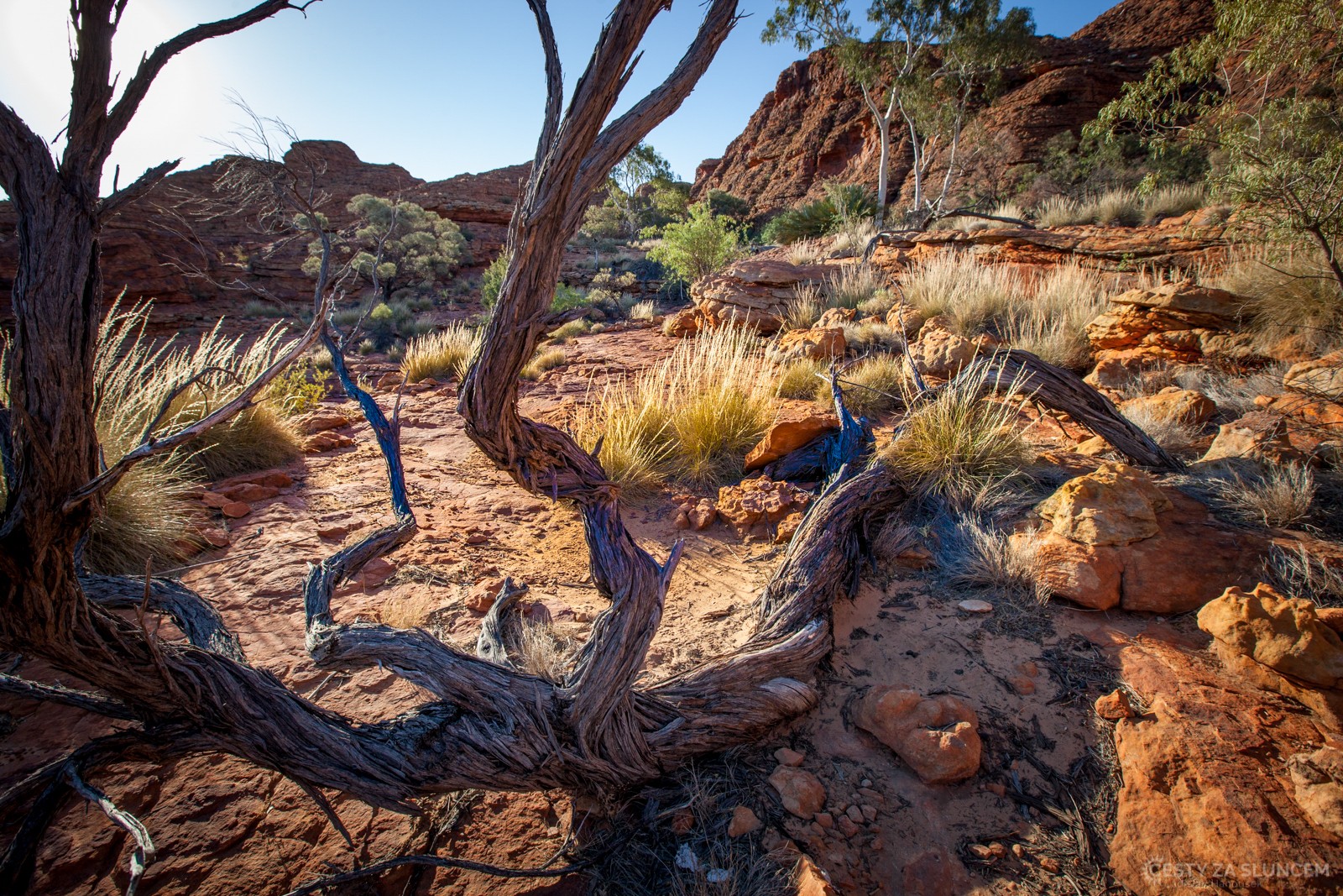 MacDonnell Ranges - Ladislav Hanousek, Střední Austrálie