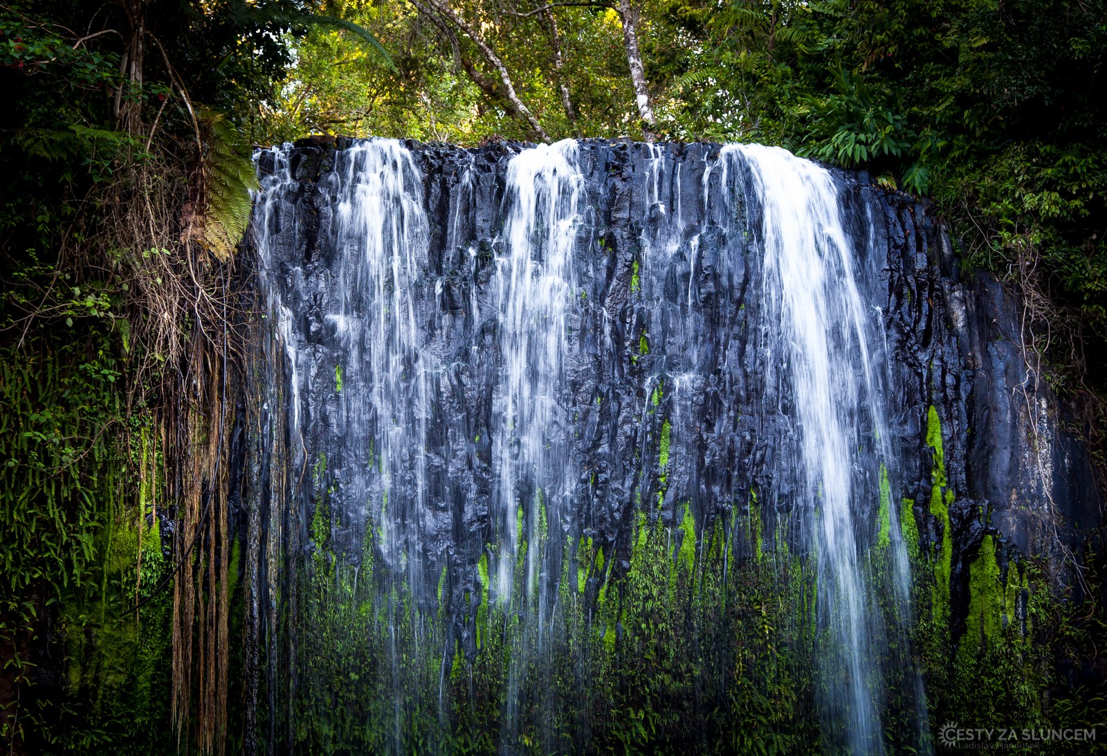 Millaa Millaa Falls - Ladislav Hanousek, Východní Austrálie