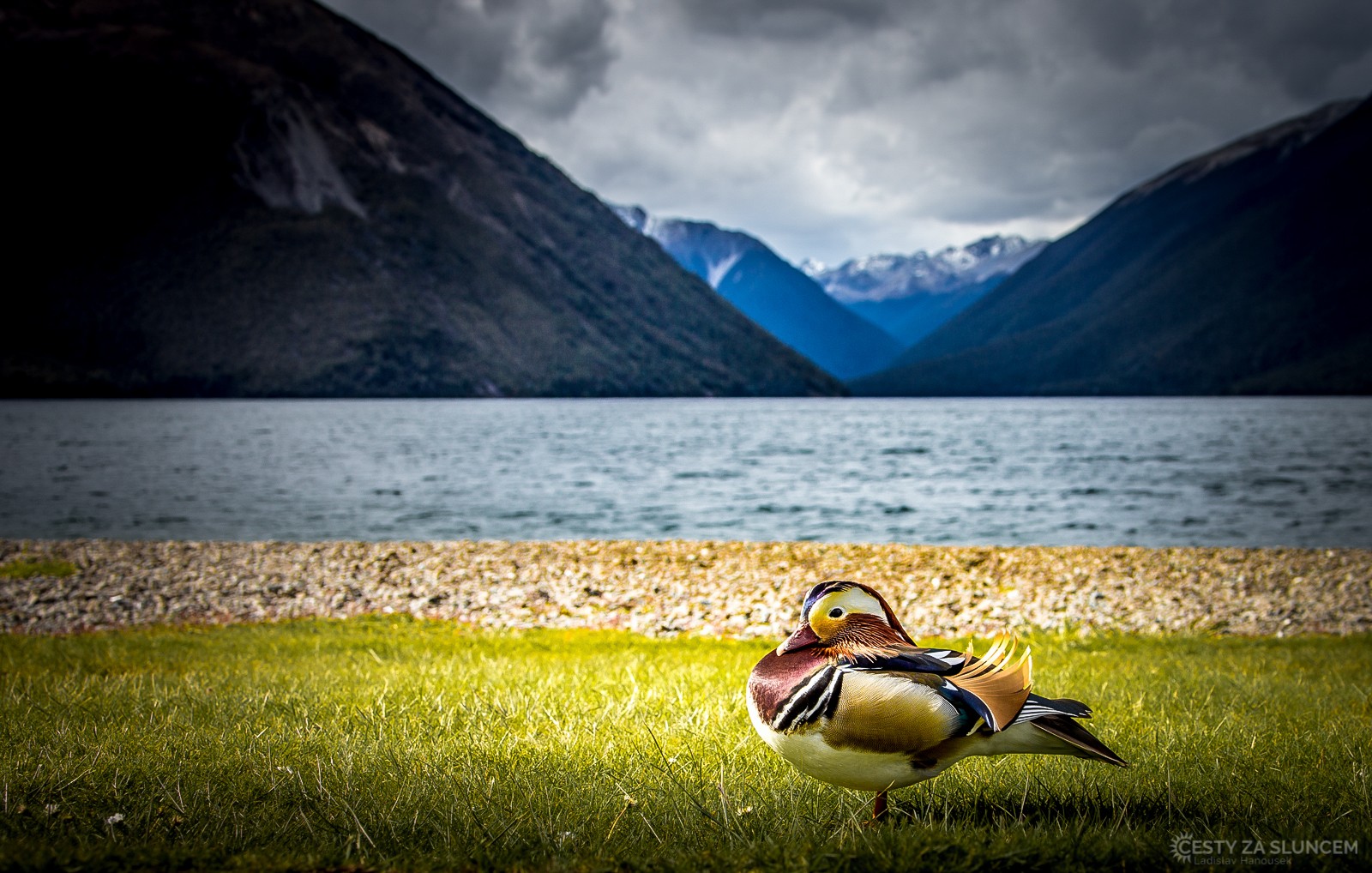 Národní park Nelson Lakes - Ladislav Hanousek, Nový Zéland - Jižní ostrov