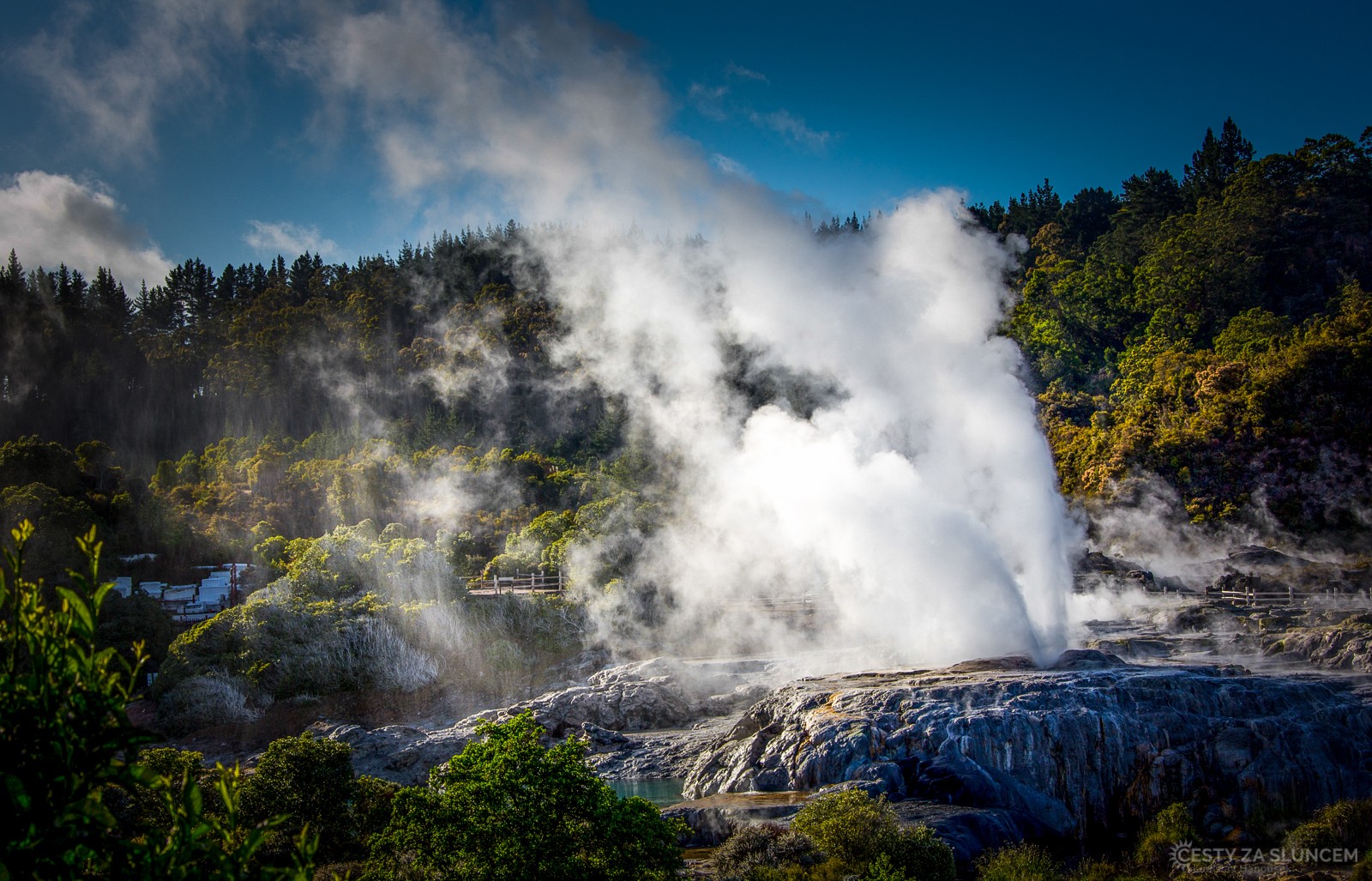 Geotermální park v městě Rotorua - Ladislav Hanousek, Nový Zéland - Severní ostrov