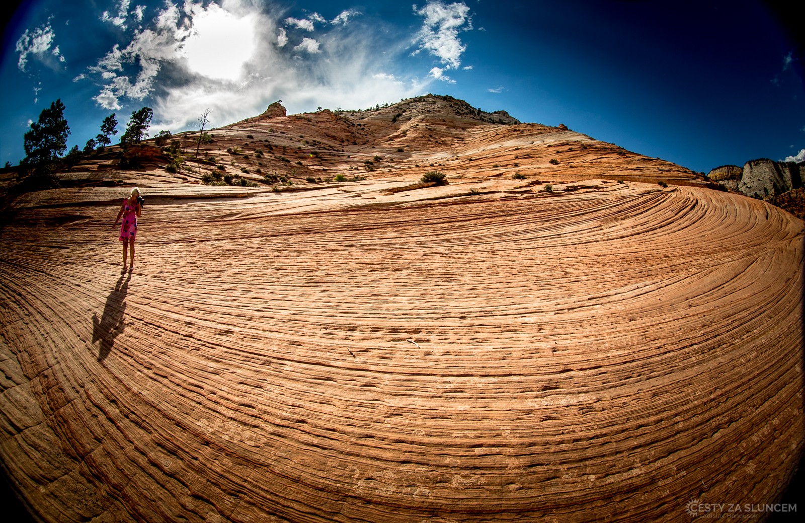 Národní park Zion - Jihozápad USA - Ladislav Hanousek, Kamenná krása
