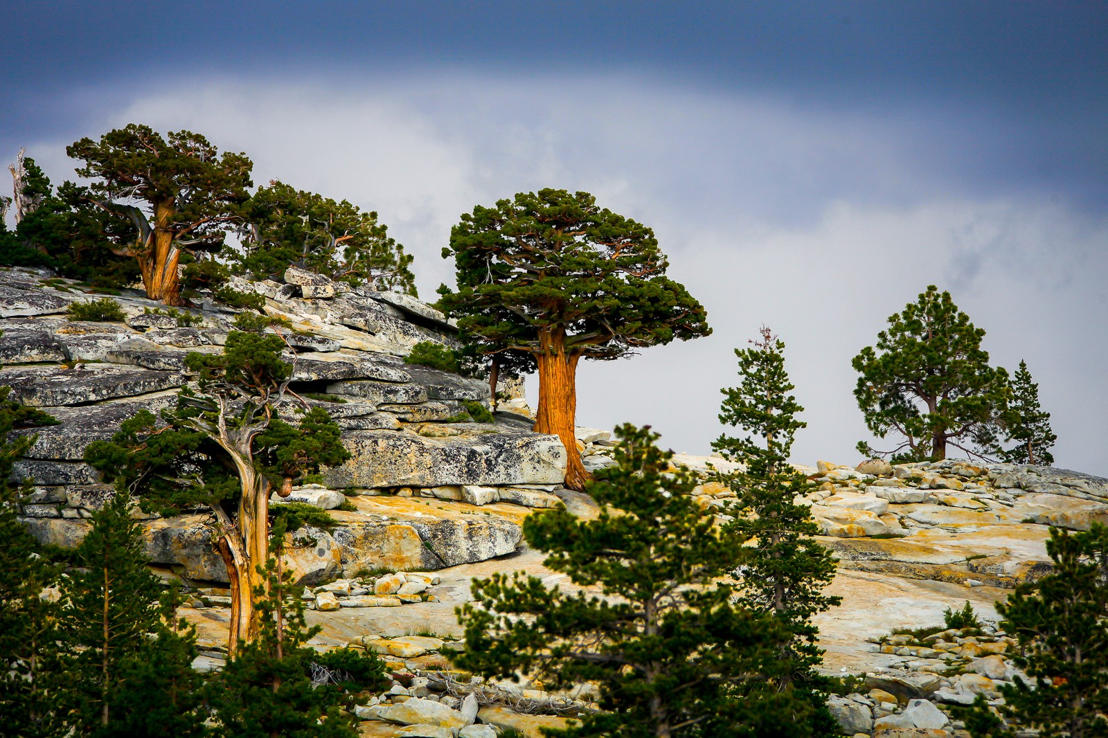 Národní park Yosemite - Tioga Pass. Jihozápad USA - Ladislav Hanousek, Kamenná krása