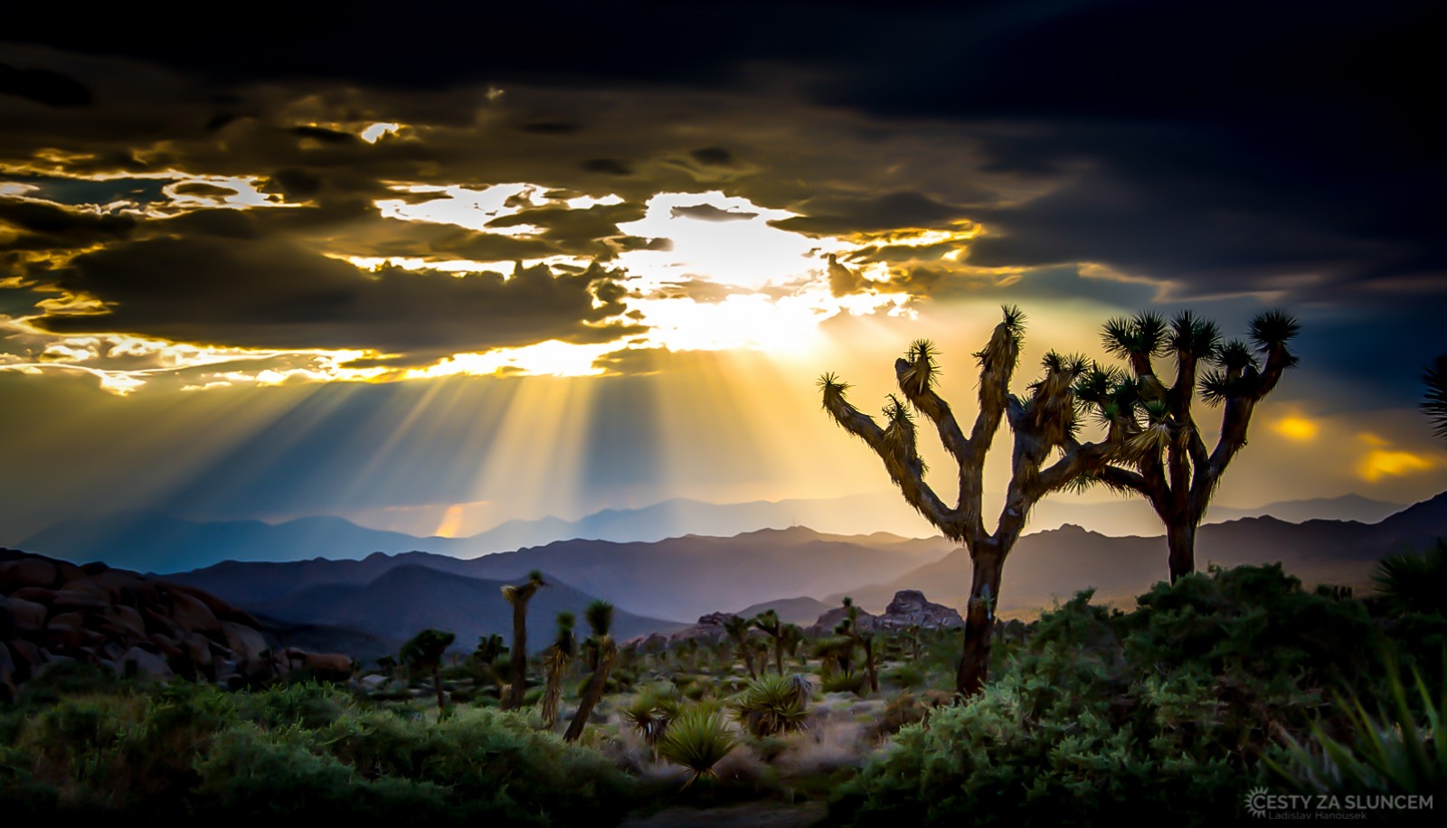 Národní park Joshua Tree - Jihozápad, Jih USA - Ladislav Hanousek, Kamenná krása
