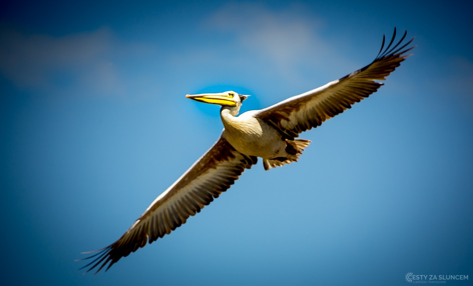  - Ladislav Hanousek, Lake Manyara National Park