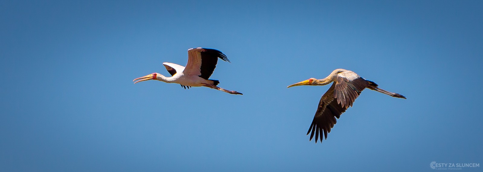  - Ladislav Hanousek, Lake Manyara National Park