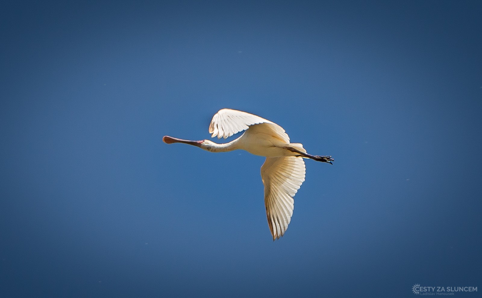  - Ladislav Hanousek, Lake Manyara National Park