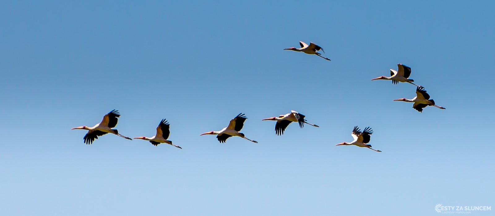  - Ladislav Hanousek, Lake Manyara National Park