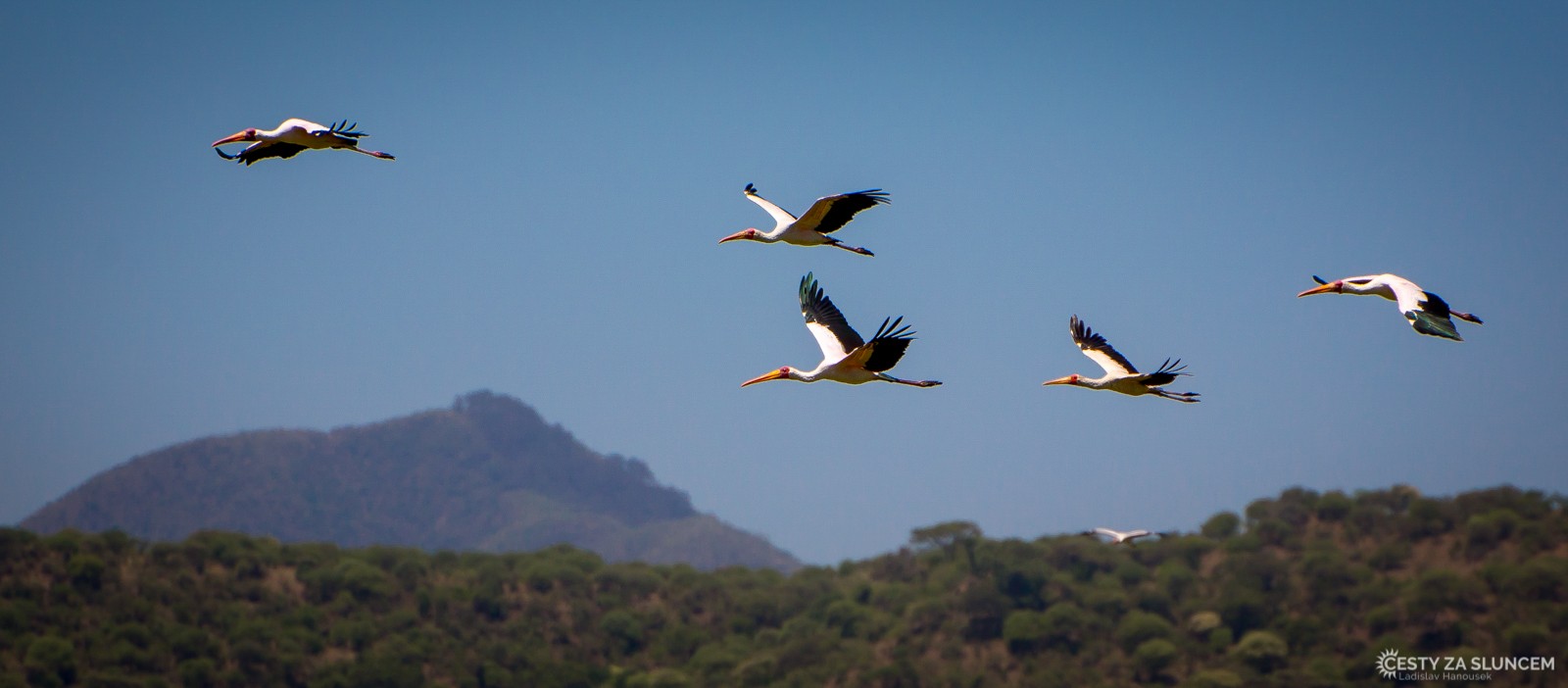  - Ladislav Hanousek, Lake Manyara National Park