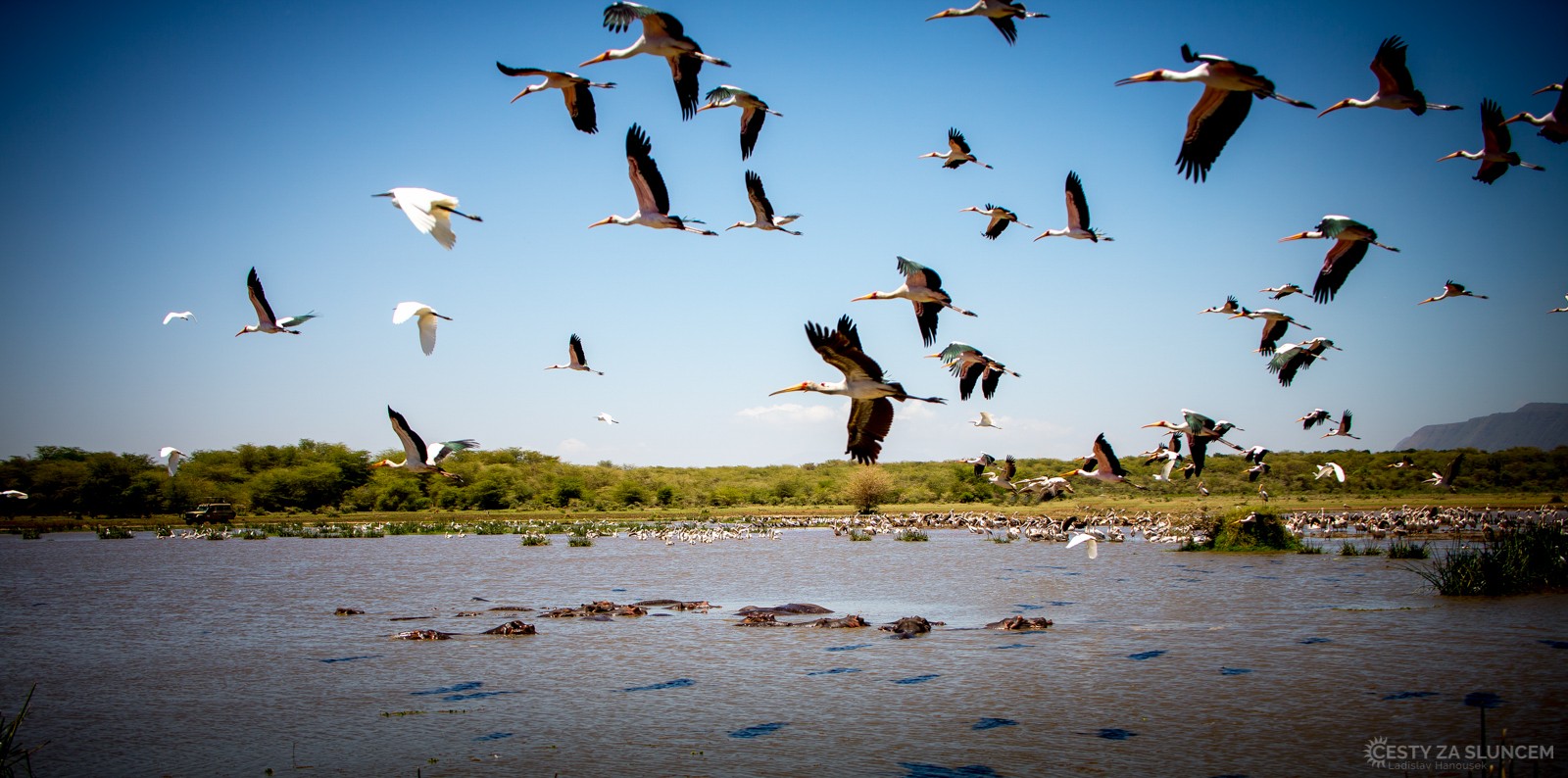 - Ladislav Hanousek, Lake Manyara National Park