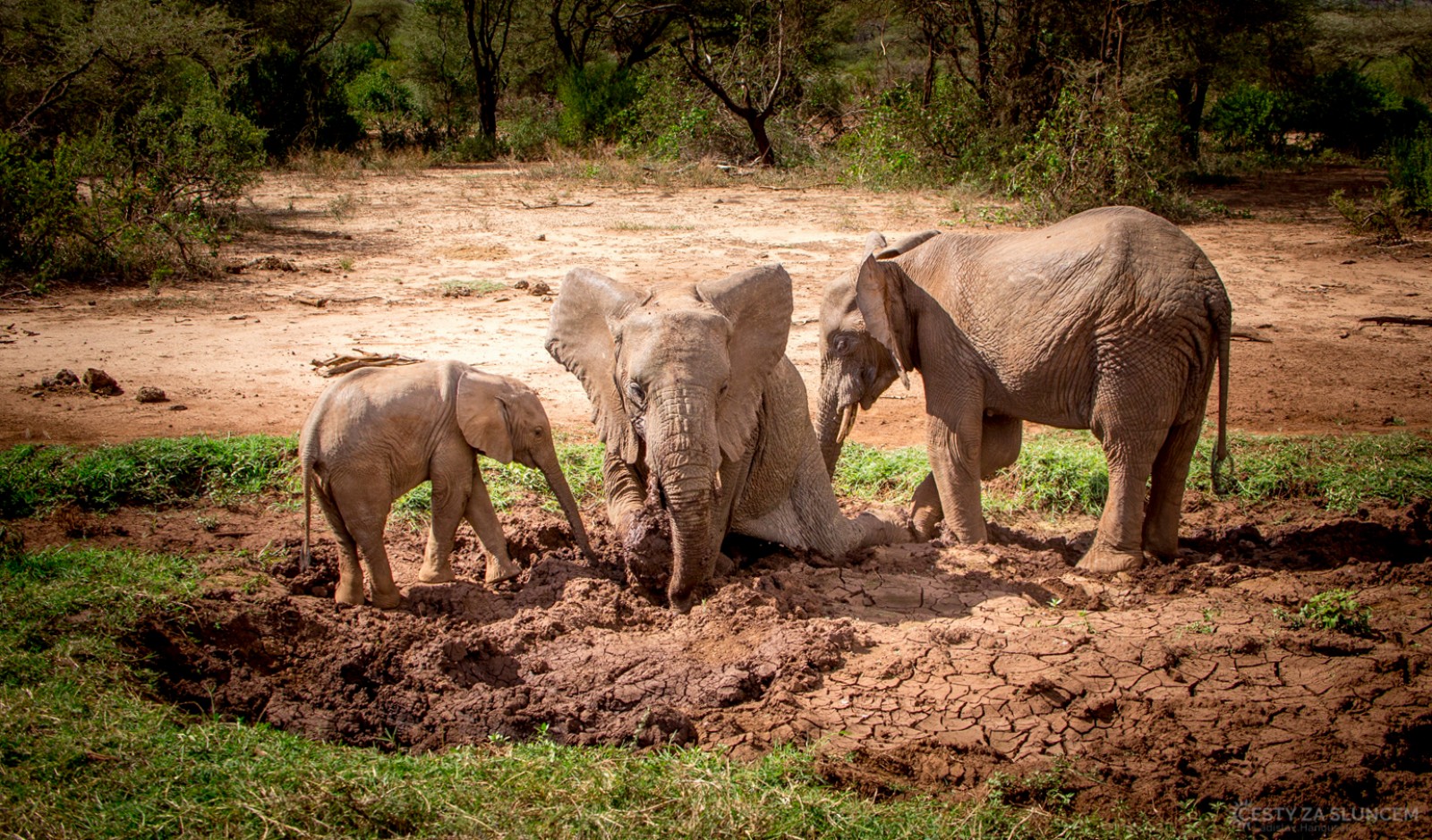  - Ladislav Hanousek, Lake Manyara National Park