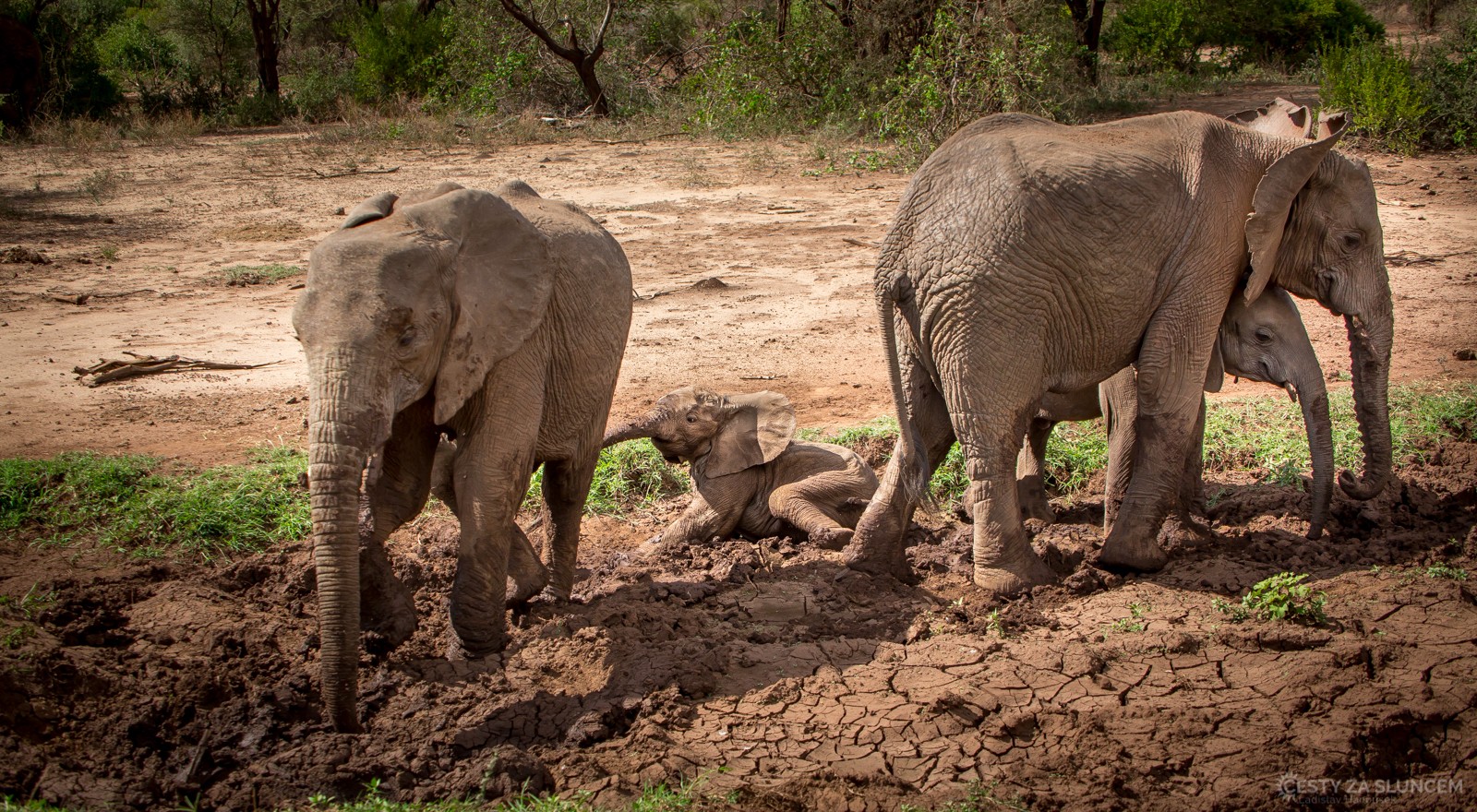 - Ladislav Hanousek, Lake Manyara National Park
