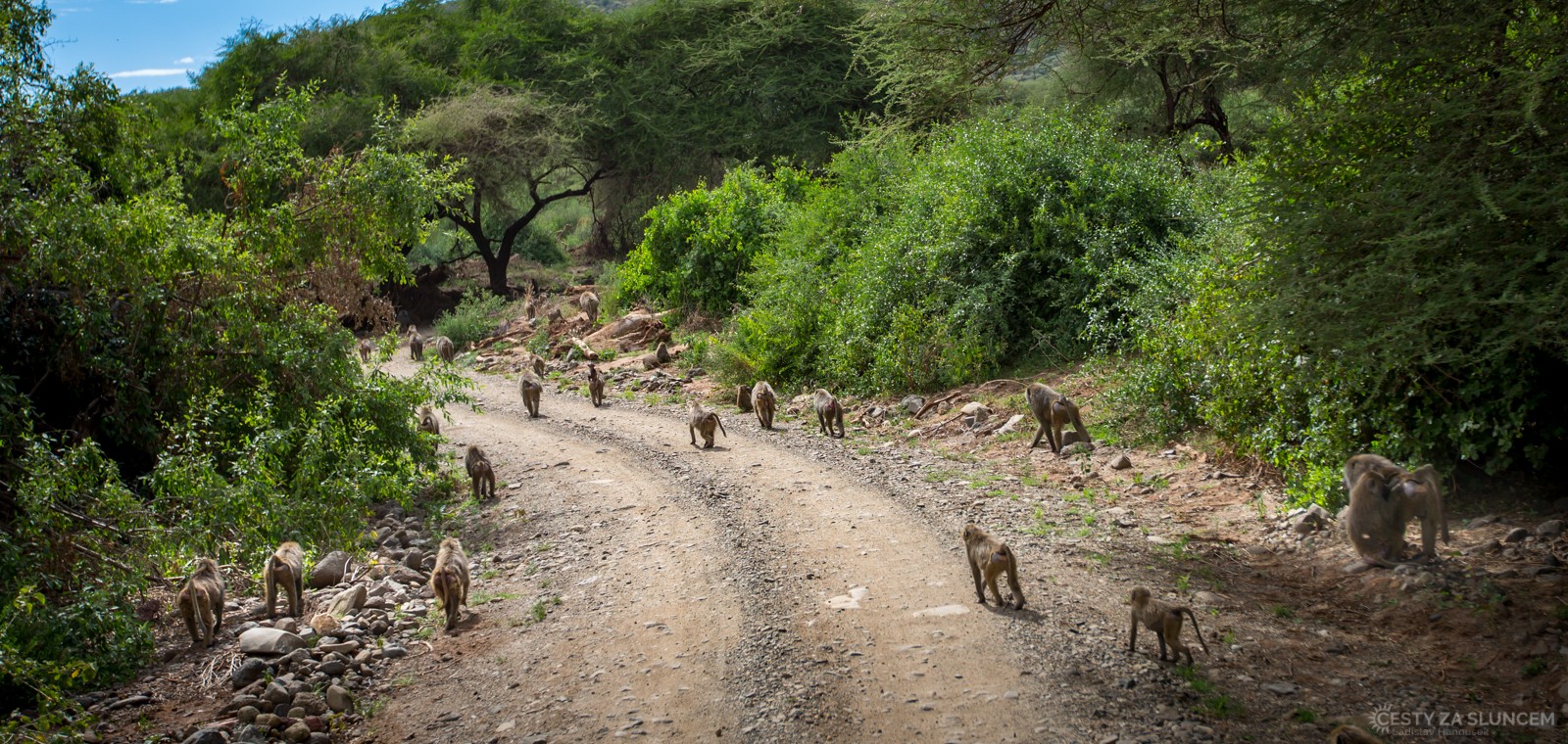  - Ladislav Hanousek, Lake Manyara National Park