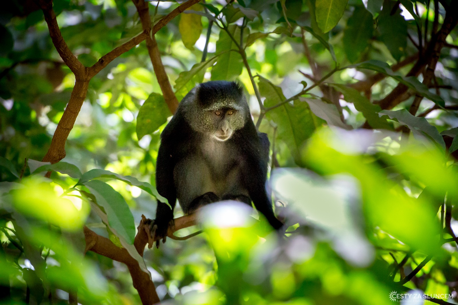  - Ladislav Hanousek, Lake Manyara National Park