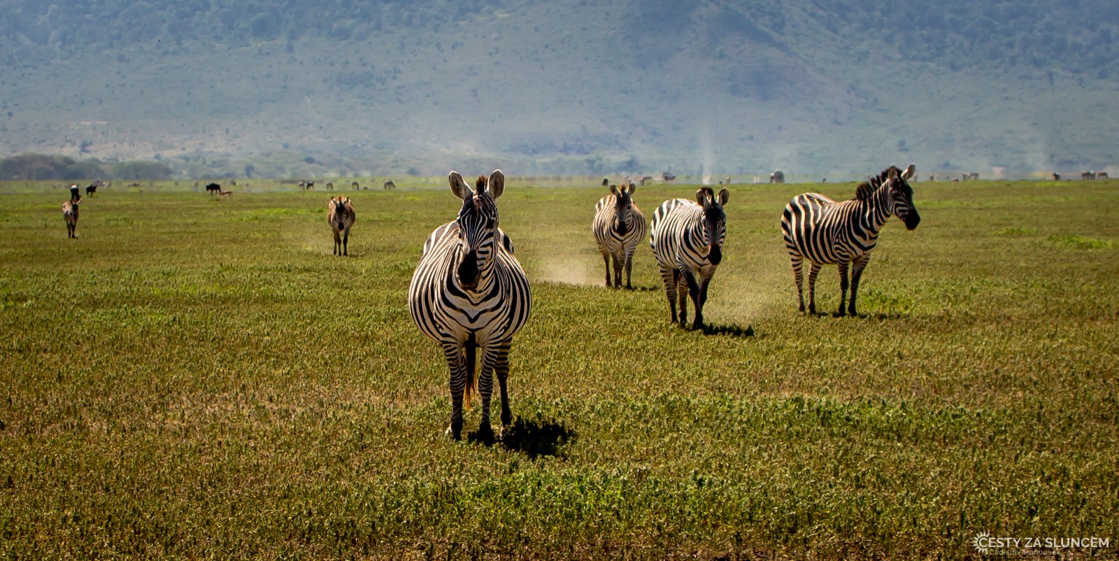 Ngorongo National Park - Ladislav Hanousek, Ngorongo National Park