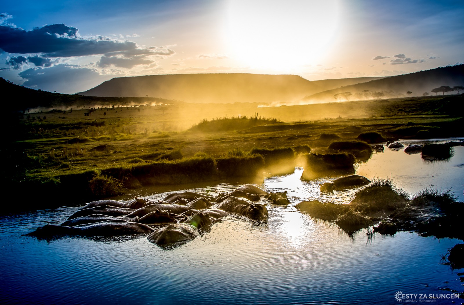 Serengeti: Hroši obojživelní se uložili ke spánku - Ladislav Hanousek, Serengeti National Park