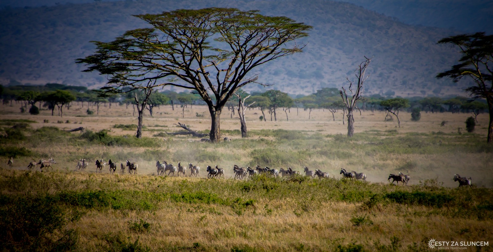 Serengeti National Park - Ladislav Hanousek, Serengeti National Park