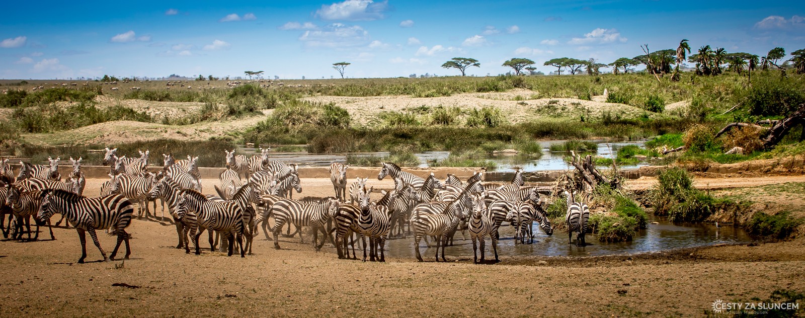 Serengeti National Park - Ladislav Hanousek, Serengeti National Park