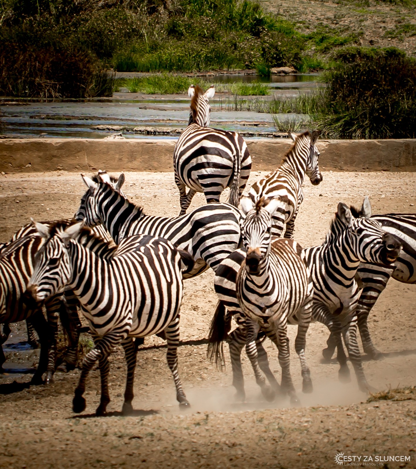 Serengeti National Park - Ladislav Hanousek, Serengeti National Park