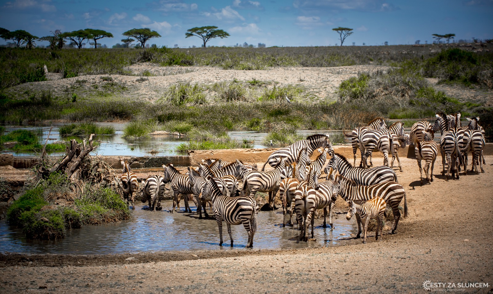 Serengeti National Park - Ladislav Hanousek, Serengeti National Park