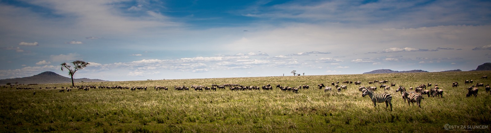 Serengeti National Park - Ladislav Hanousek, Serengeti National Park