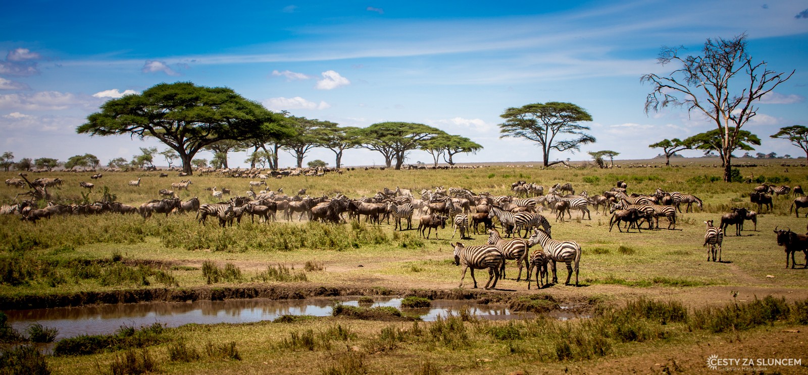 Serengeti National Park - Ladislav Hanousek, Serengeti National Park