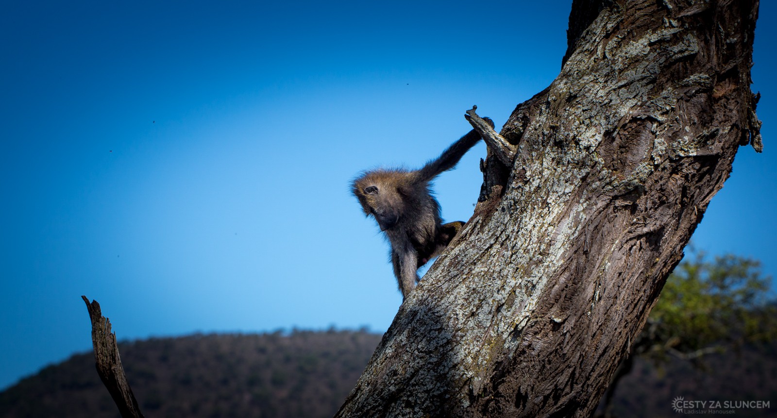 Serengeti National Park - Ladislav Hanousek, Serengeti National Park