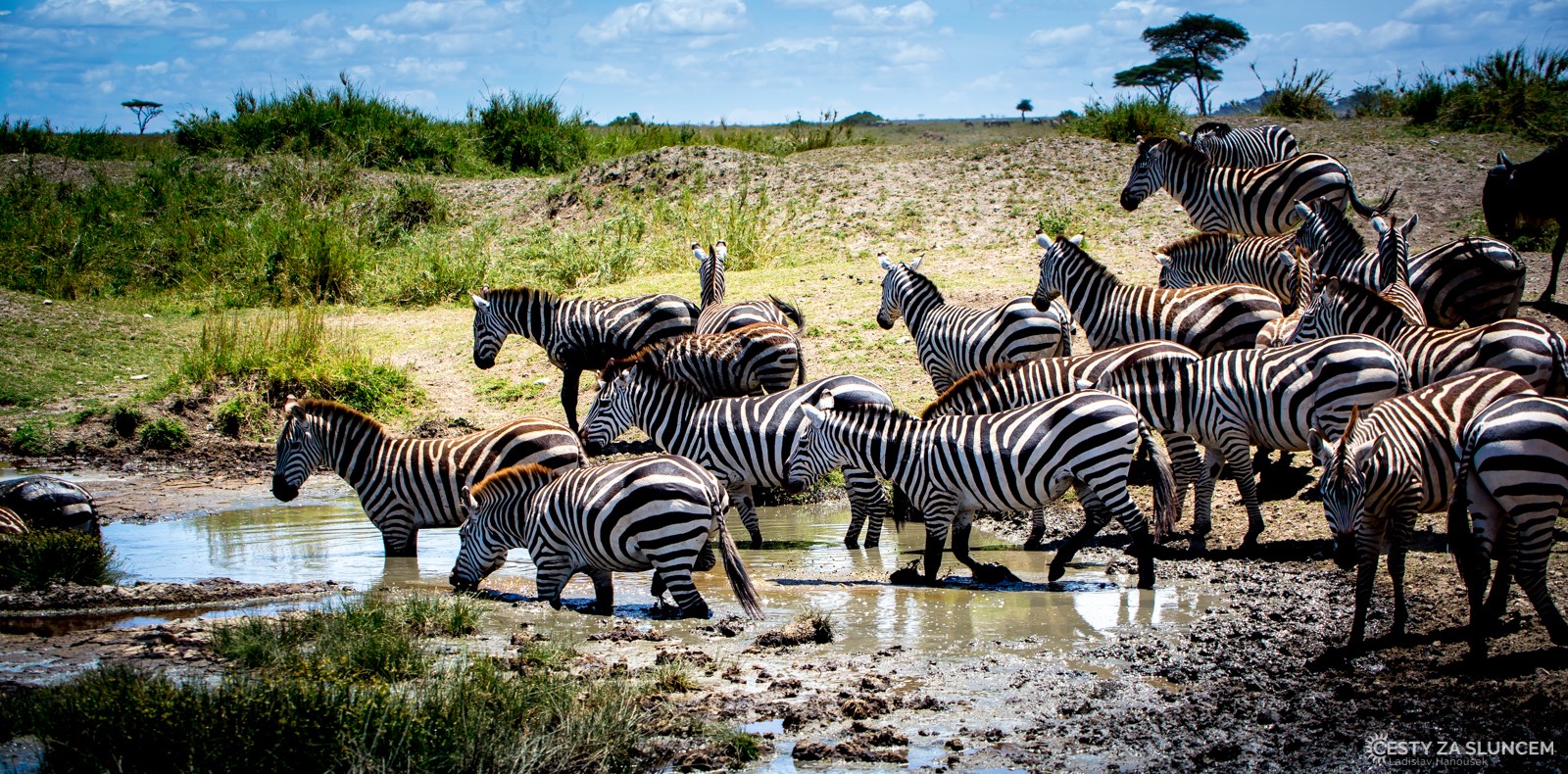 Serengeti National Park - Ladislav Hanousek, Serengeti National Park