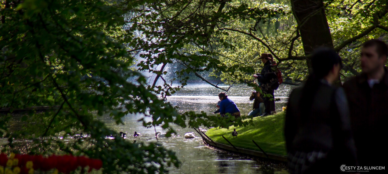 Květinový park Keukenhof - Ladislav Hanousek, Holandsko - květinový park Keukenhof