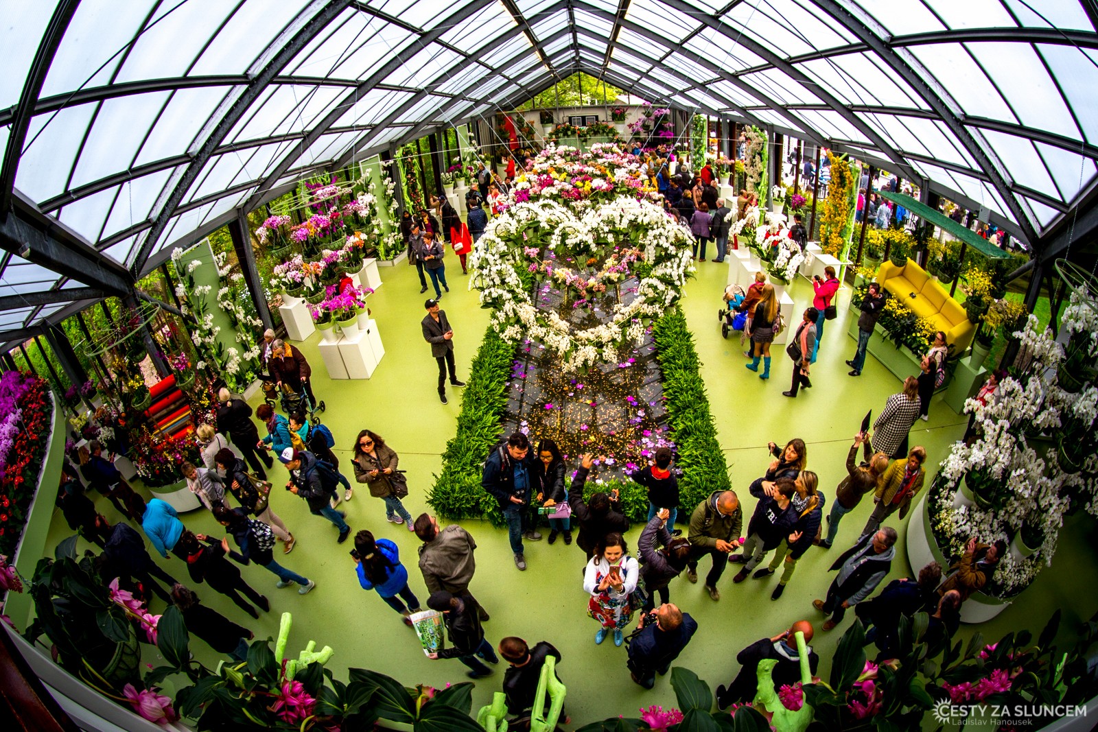 Pavilon královny Beatrix je celý věnován orchidejím. Je tu více orchideí, než na leckteré specializované výstavě - Ladislav Hanousek, Holandsko - květinový park Keukenhof